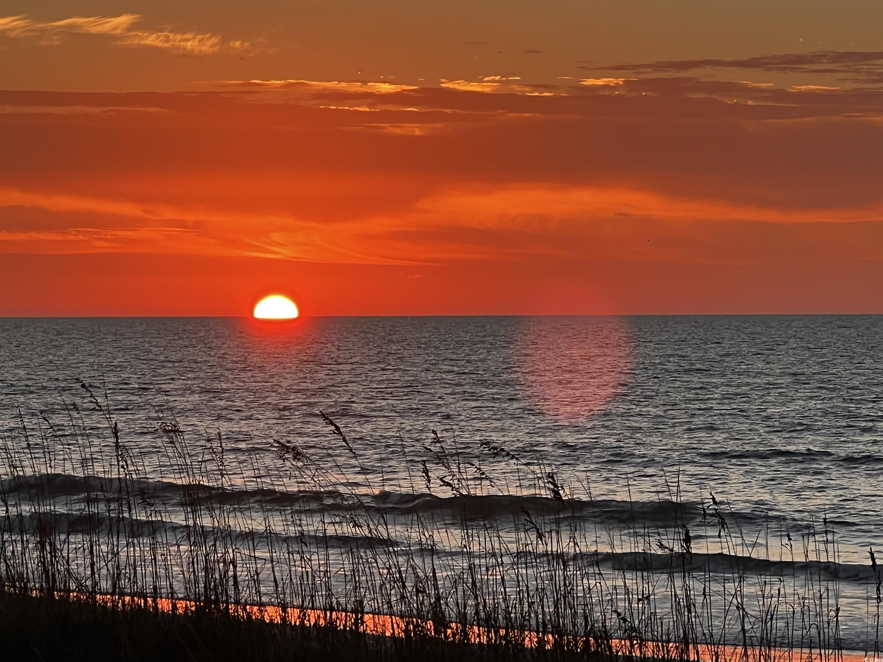 108 Ocean Blvd. N #101, North Myrtle Beach, South Carolina image 4