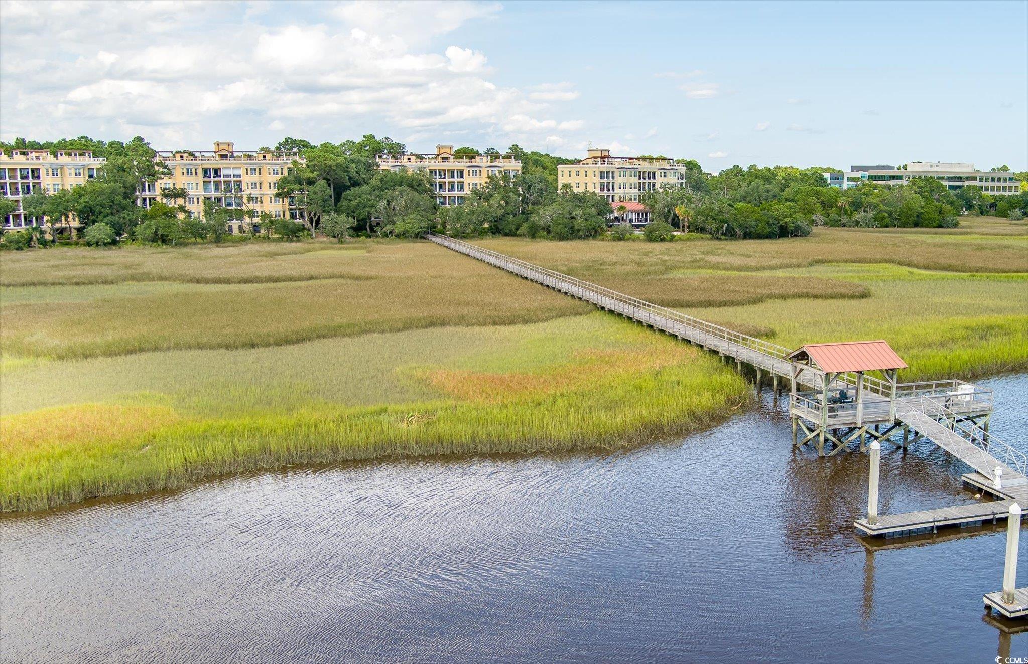 4254 Faber Place Dr. #3201, Charleston, South Carolina image 30