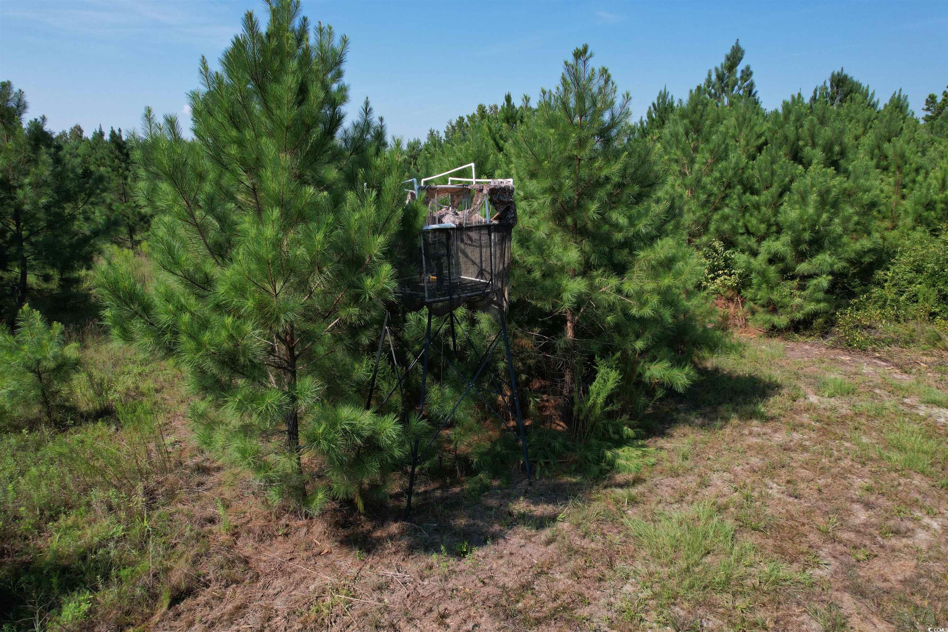 55.43 Acre Jeffords Mill Rd. Darlington, SC 29532