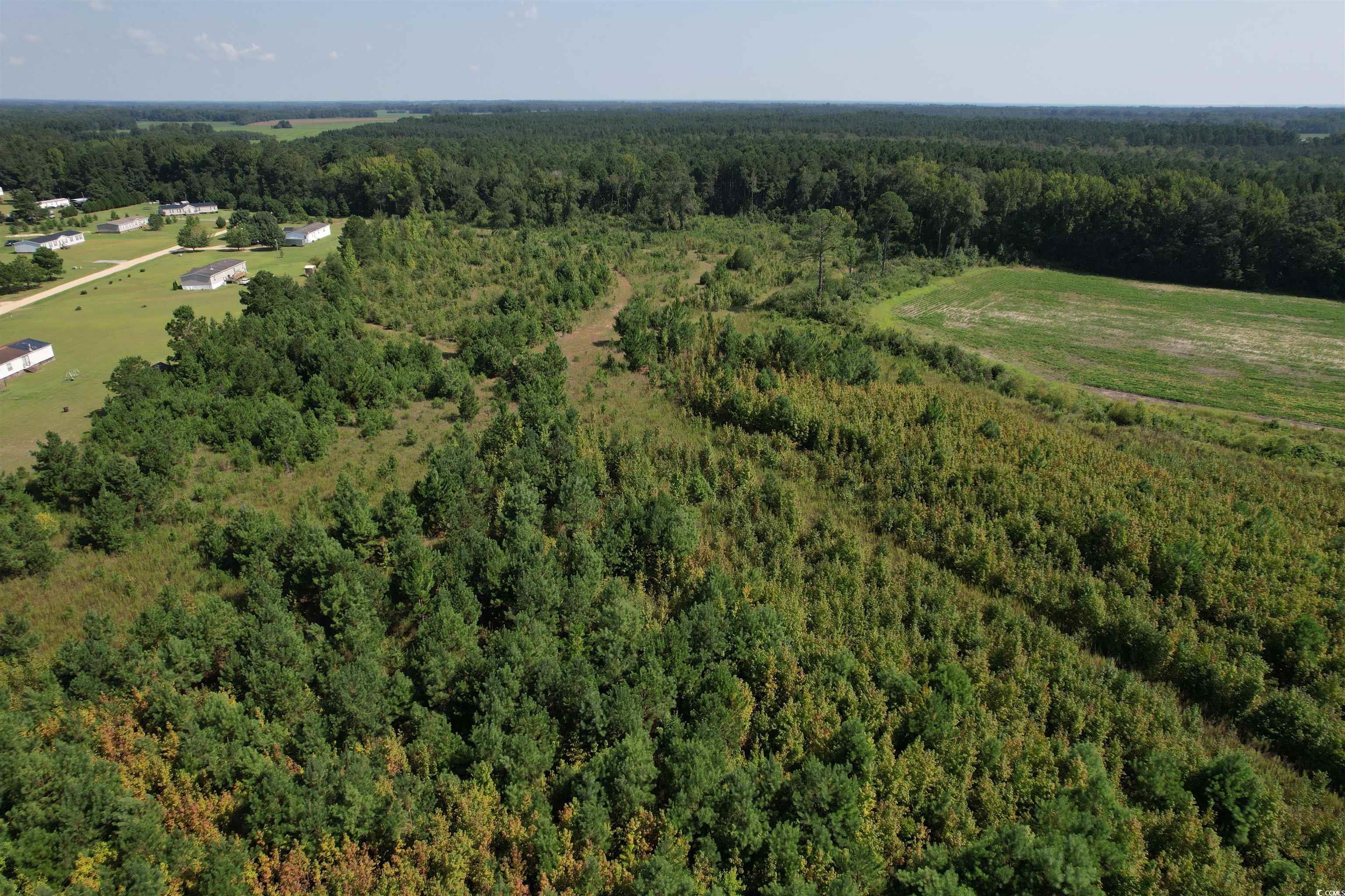 55.43 Acres-TBD Jeffords Mill Rd., Darlington, South Carolina image 13