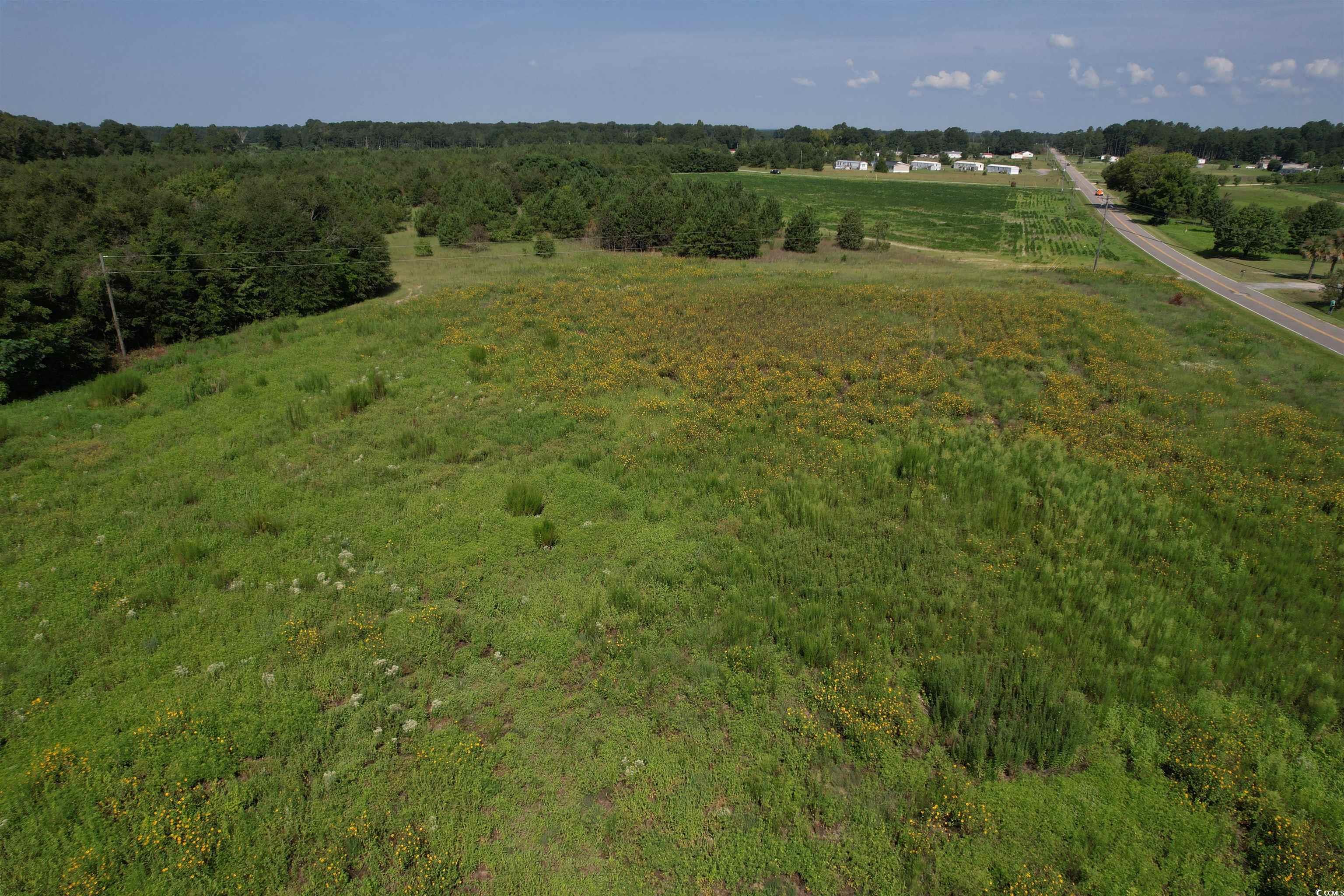 55.43 Acres-TBD Jeffords Mill Rd., Darlington, South Carolina image 15