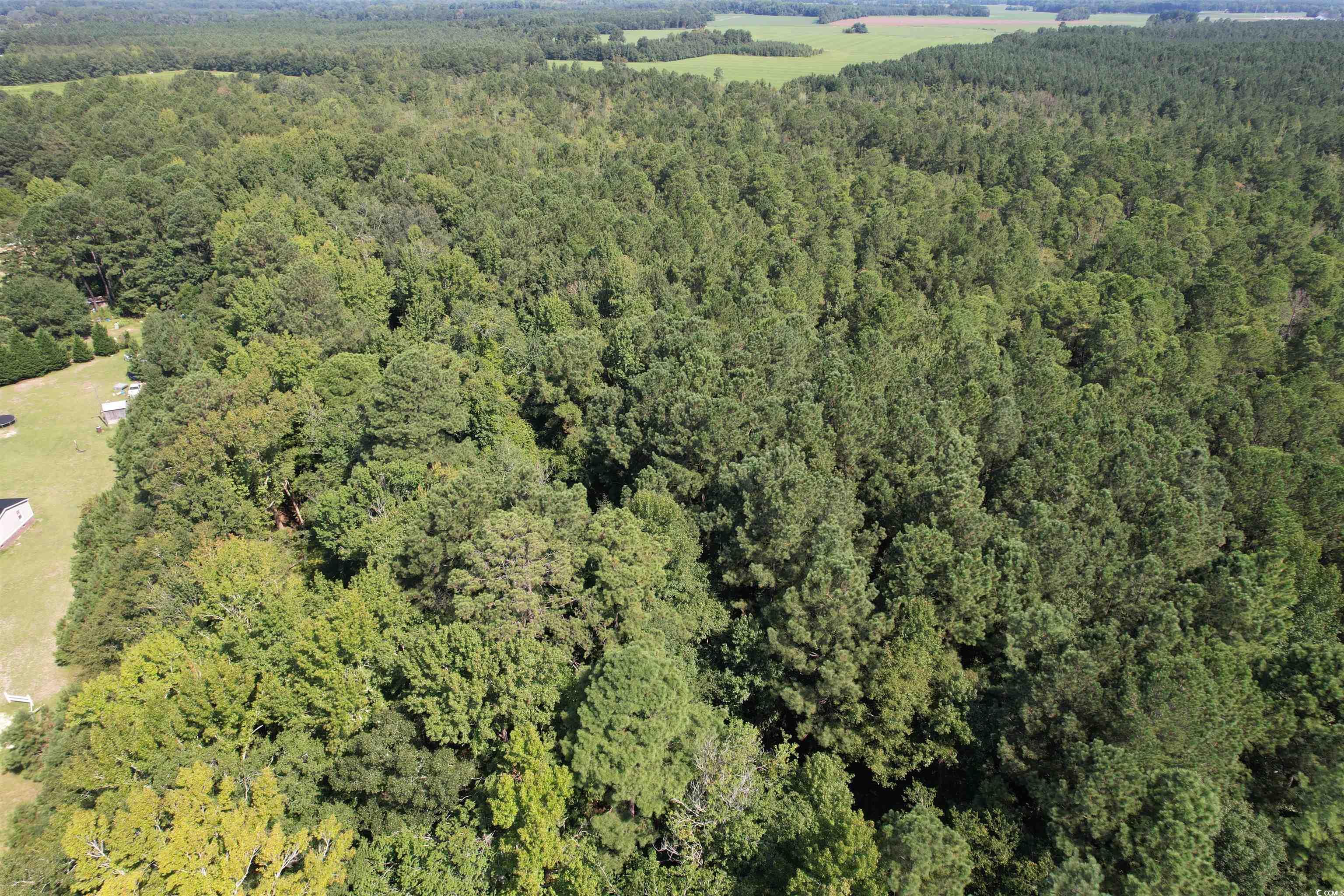 55.43 Acres-TBD Jeffords Mill Rd., Darlington, South Carolina image 7