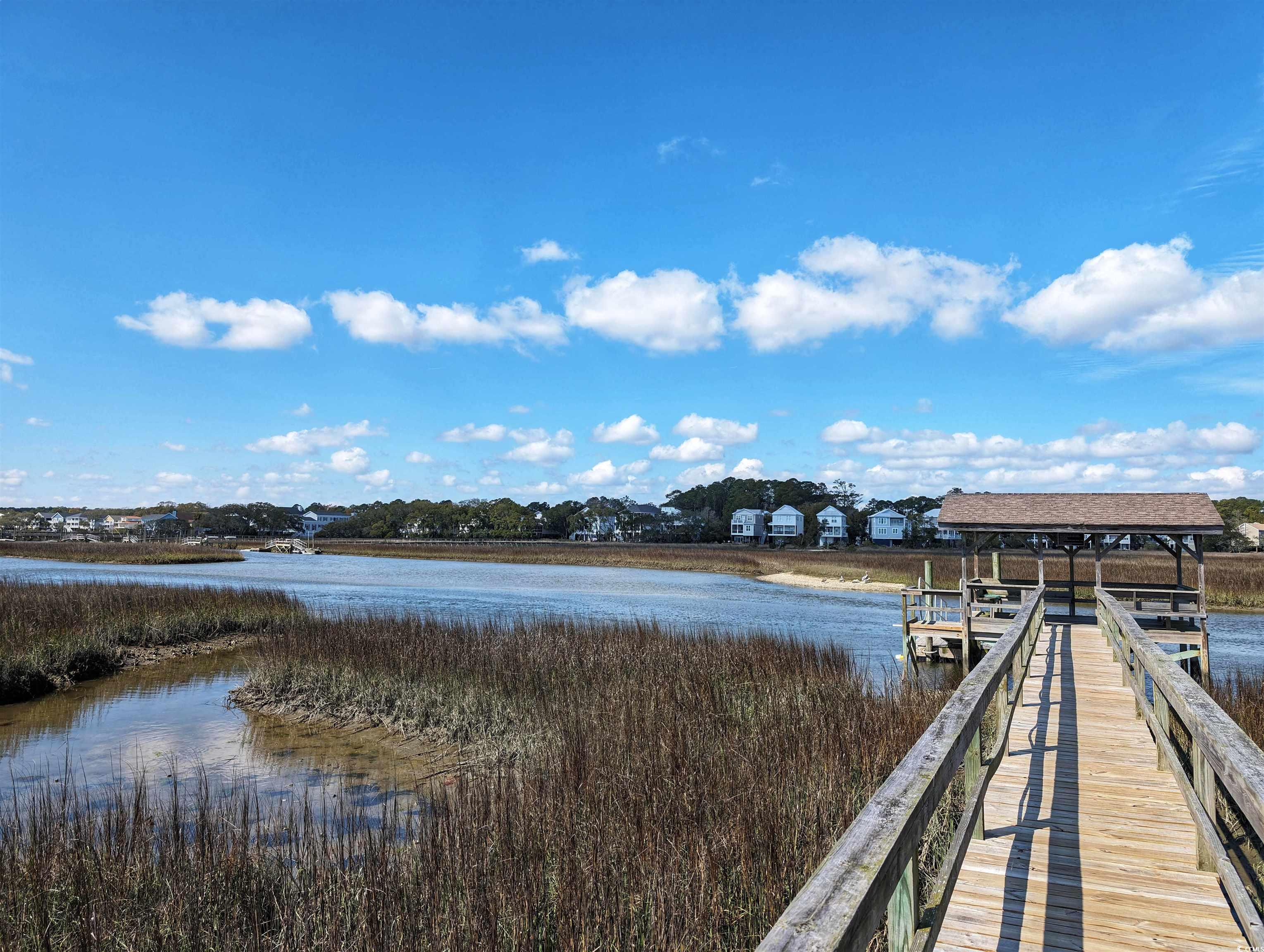 671 Norris Dr. #1C, Pawleys Island, South Carolina image 38