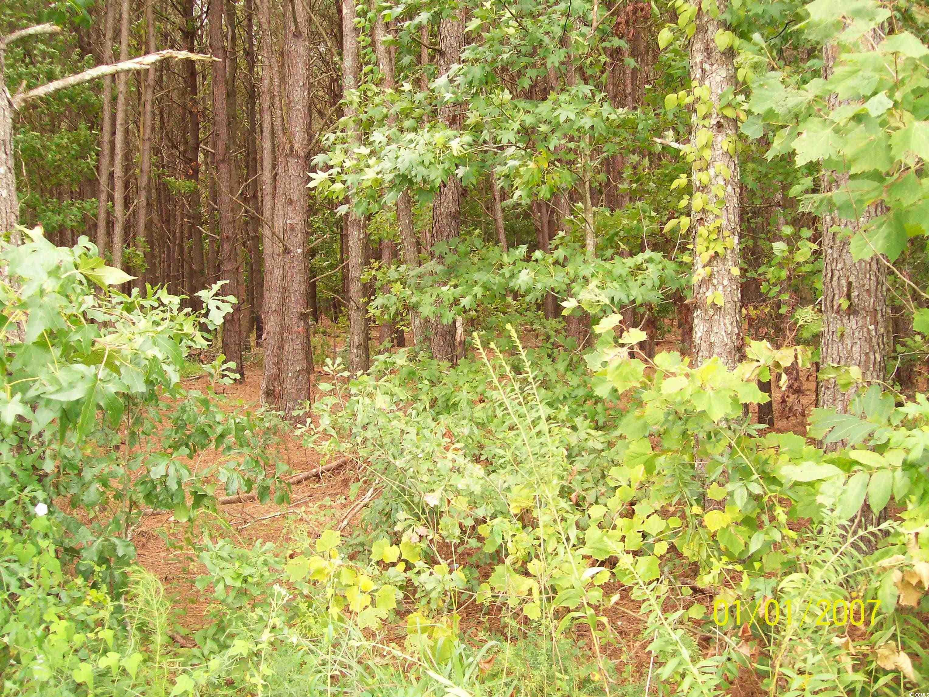 LOT 2 Riverbend Rd., Loris, South Carolina image 1