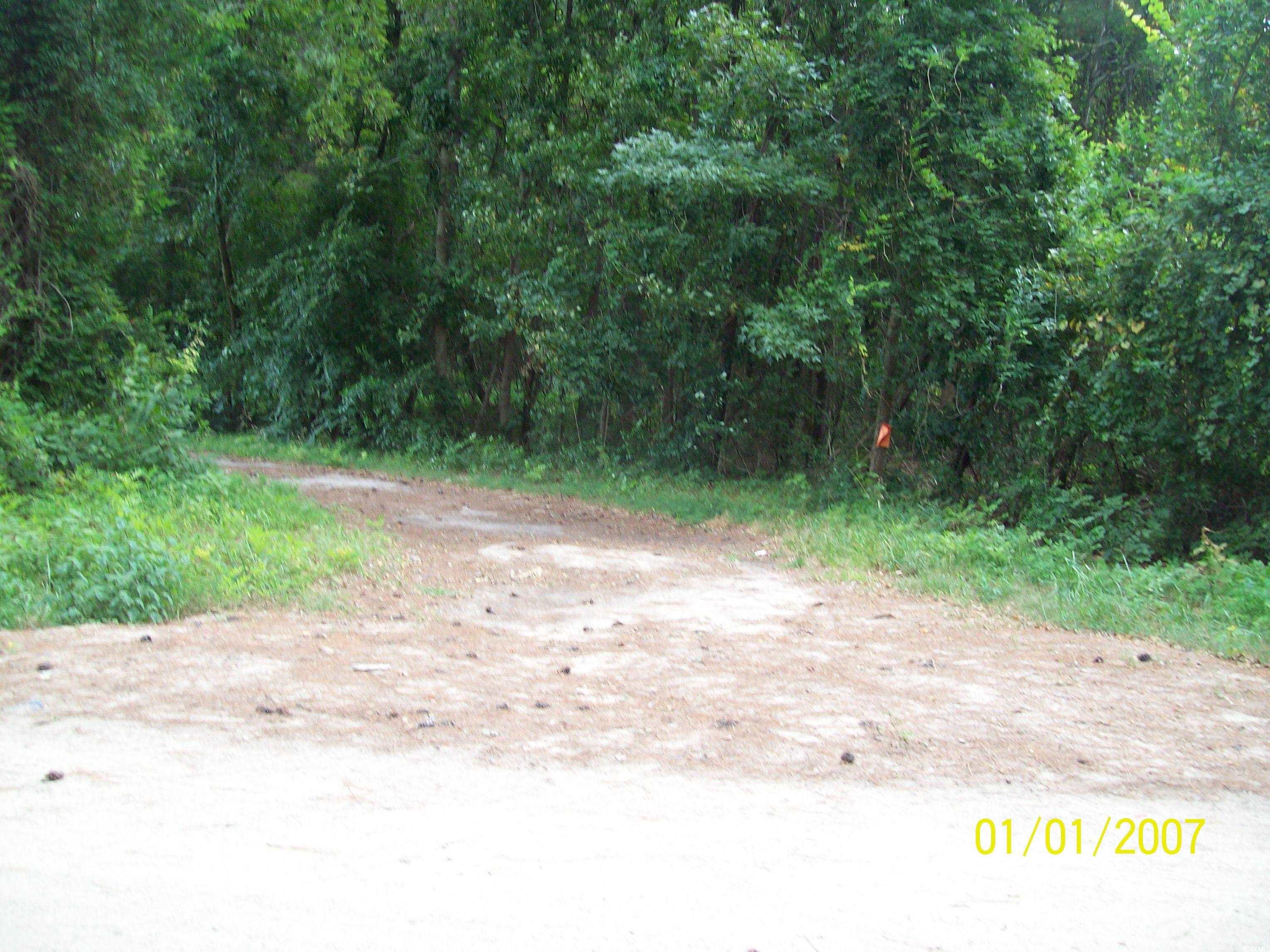 LOT 1 Riverbend Rd., Loris, South Carolina image 1