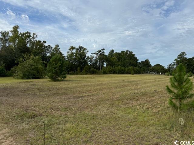 Lot 2 Sand Plant Rd., Nichols, South Carolina image 1