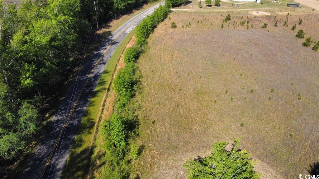 Lot 2 Sand Plant Rd., Nichols, South Carolina image 3