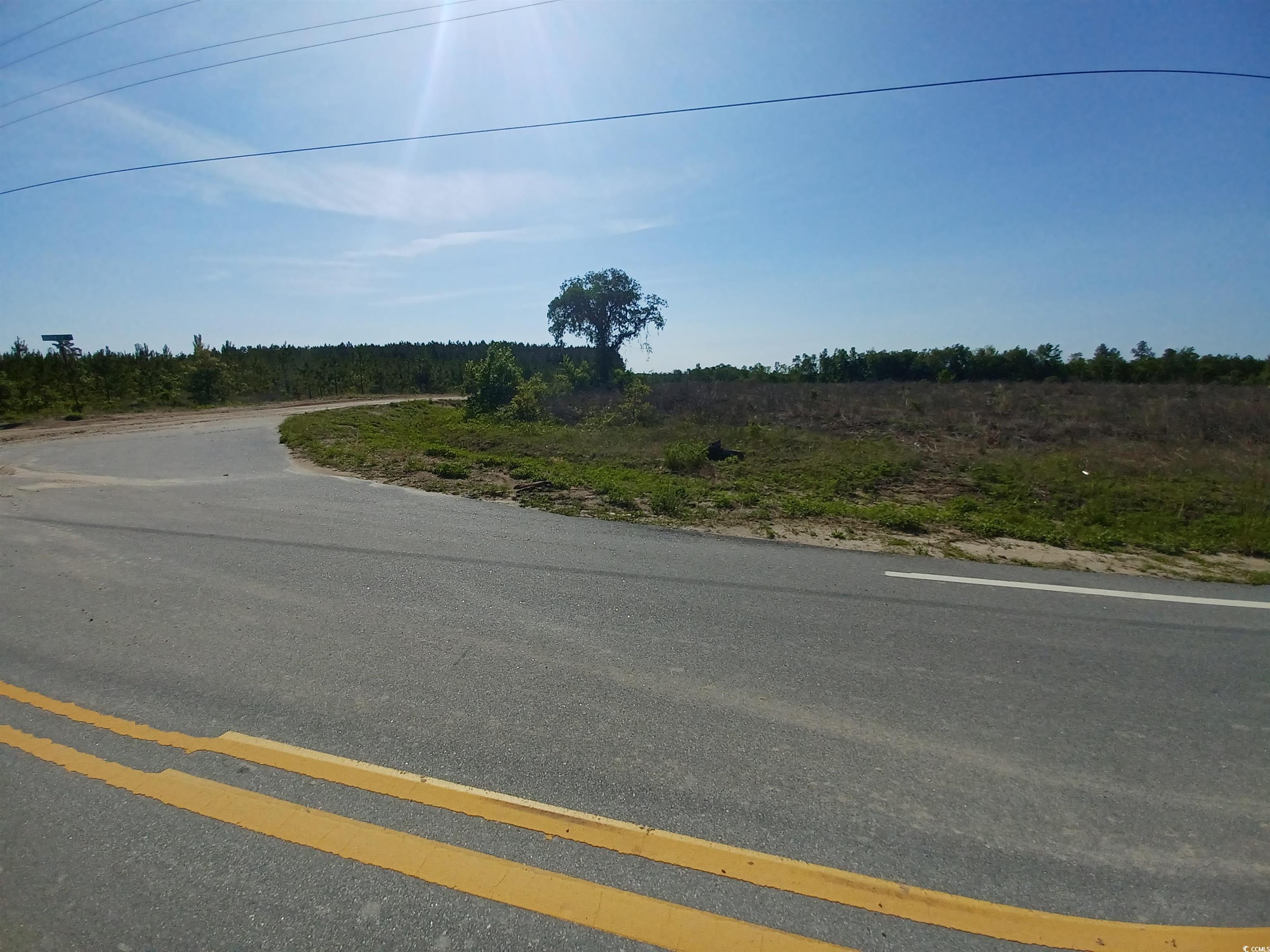 Lot 3 Mw Stroud Rd. Nichols, SC 29581