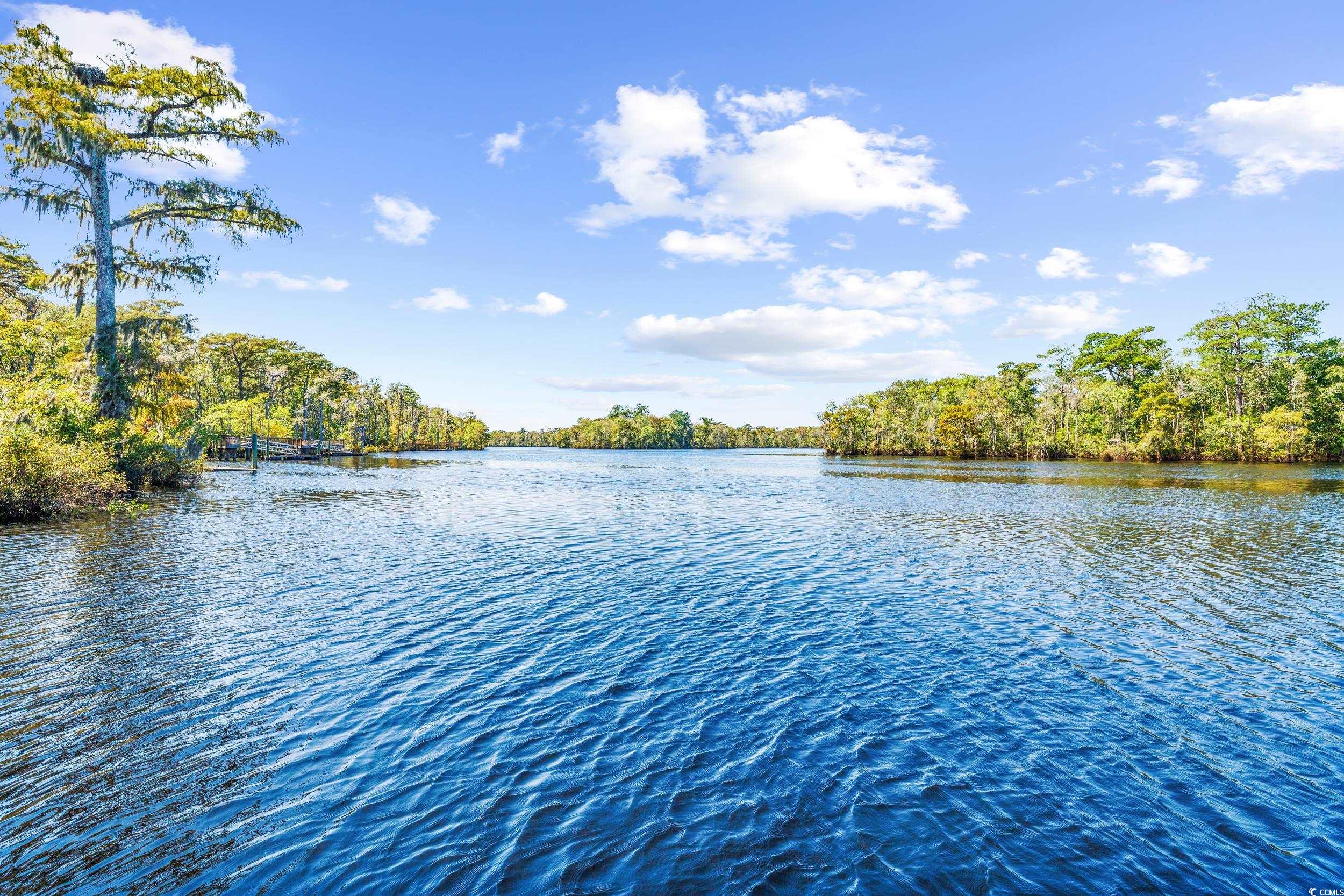 LOT 71 Chamberlain Rd., Myrtle Beach, South Carolina image 9