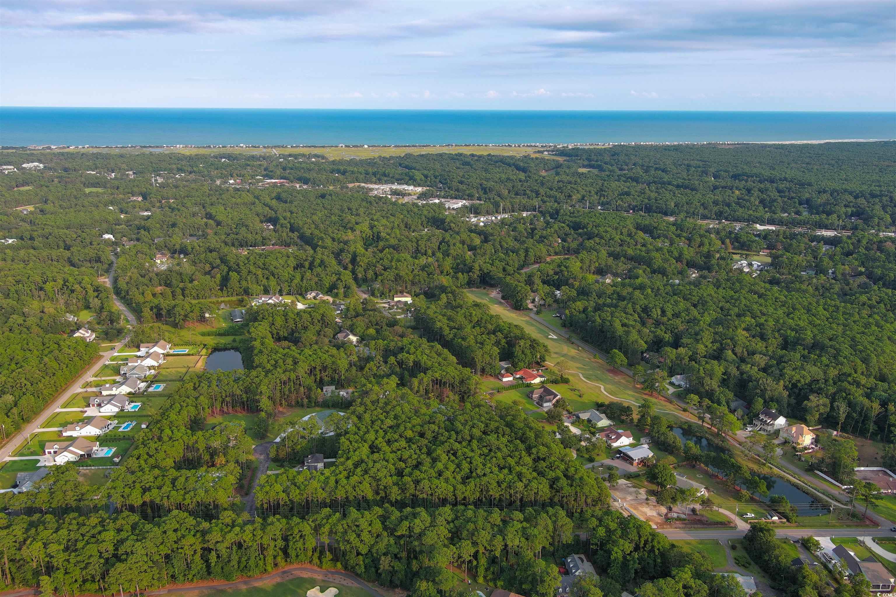 Lot 1-B Brace Dr., Pawleys Island, South Carolina image 13