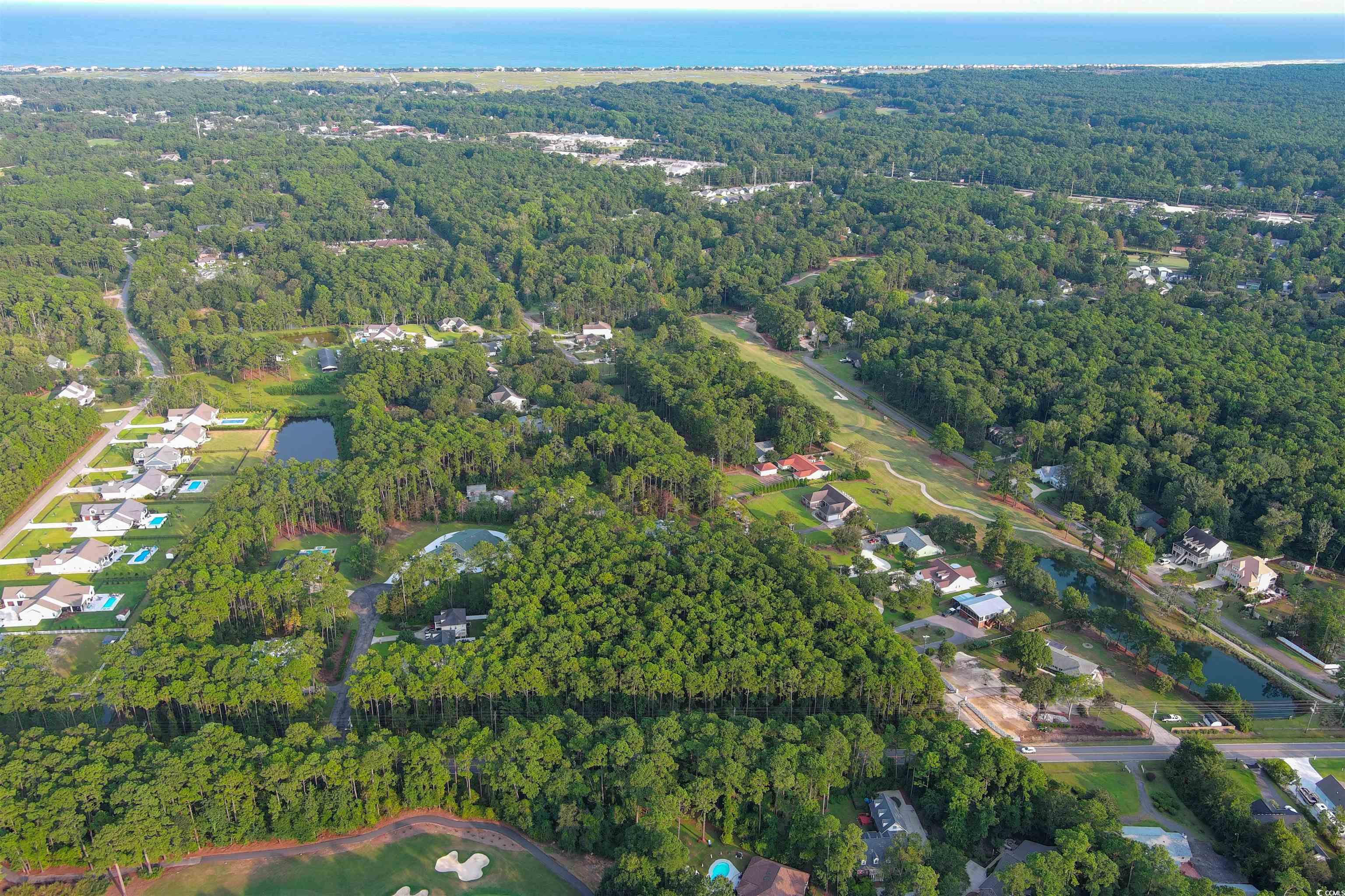 Lot 1-B Brace Dr., Pawleys Island, South Carolina image 14