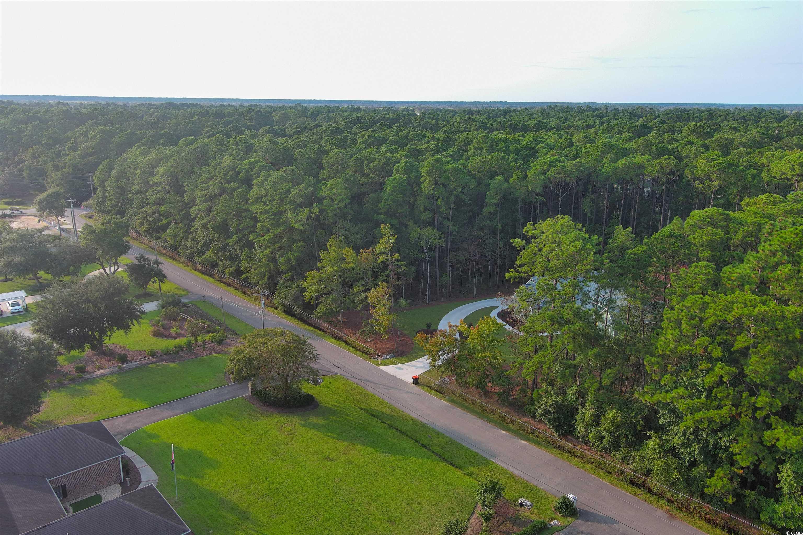 Lot 1-B Brace Dr., Pawleys Island, South Carolina image 17