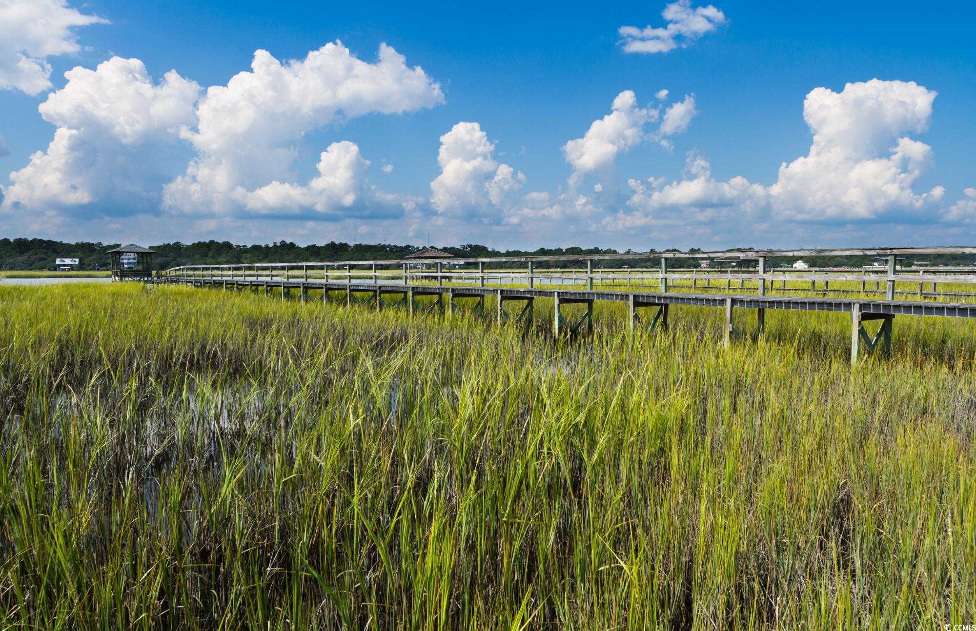 Lot 1-B Brace Dr., Pawleys Island, South Carolina image 21