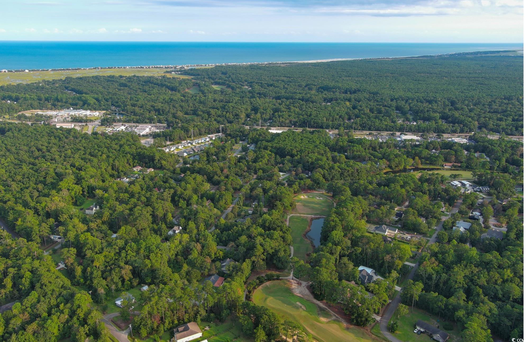 Lot 1-B Brace Dr., Pawleys Island, South Carolina image 40