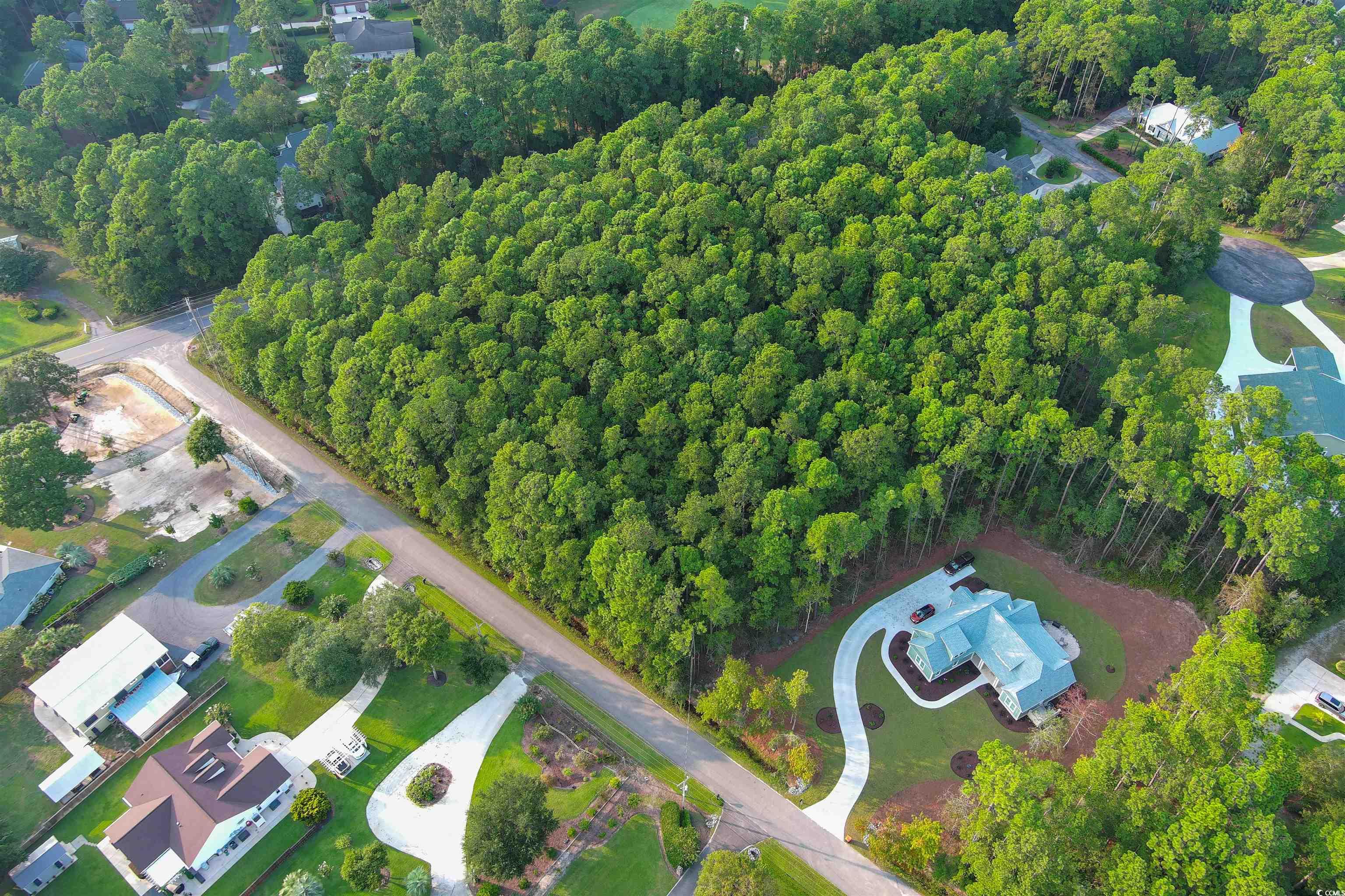 Lot 1-B Brace Dr., Pawleys Island, South Carolina image 8