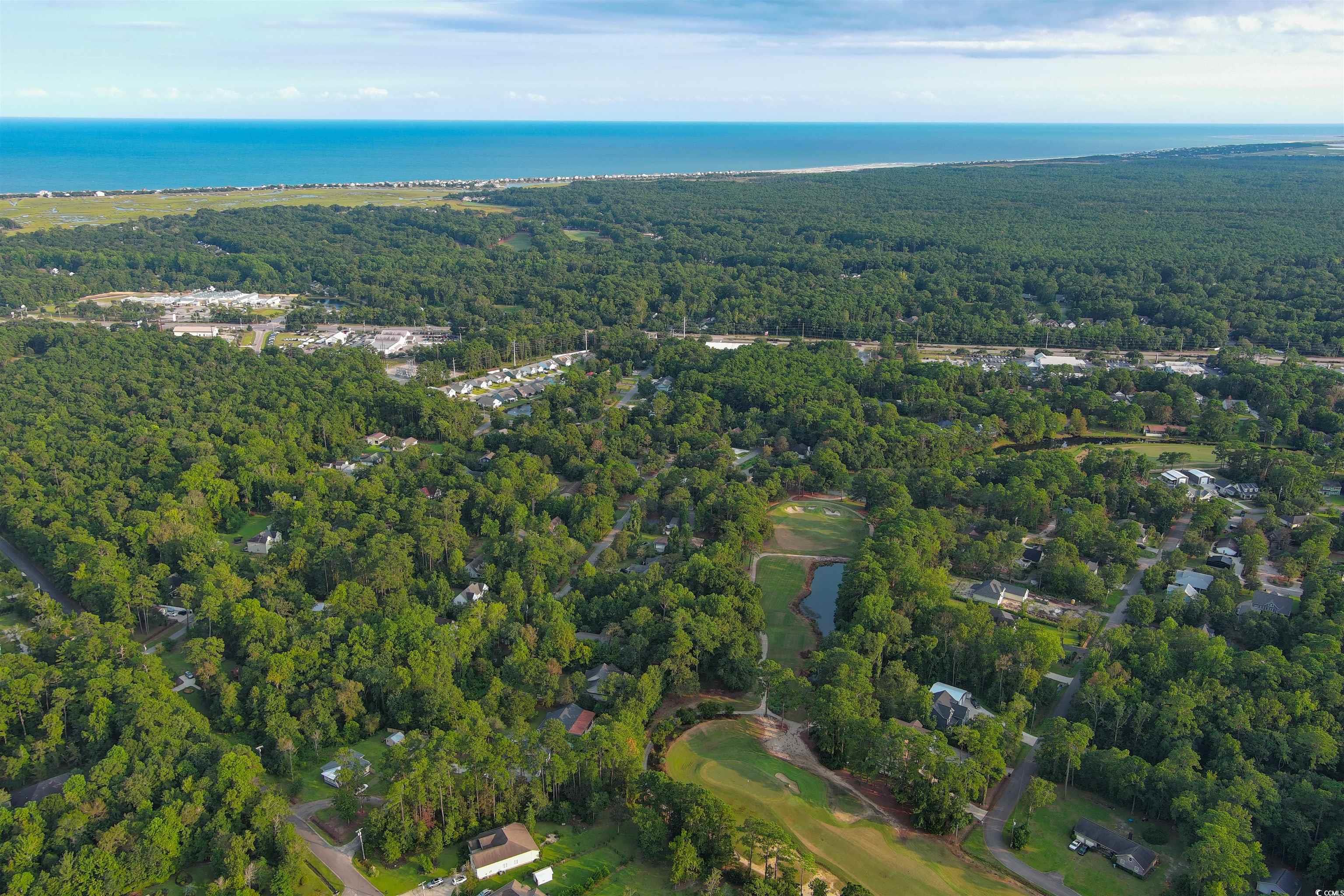 Lot 1-B Brace Dr., Pawleys Island, South Carolina image 9