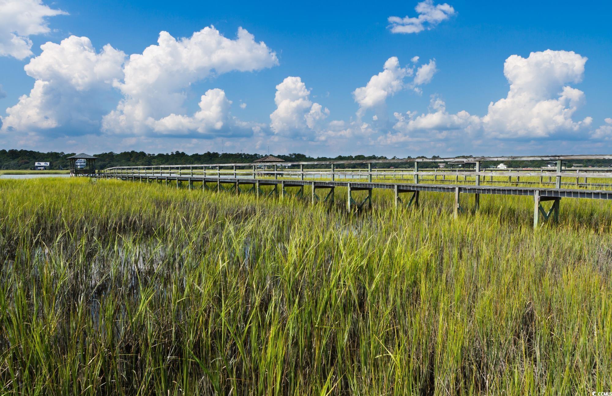 Lot 1-B Brace Dr., Pawleys Island, South Carolina image 19