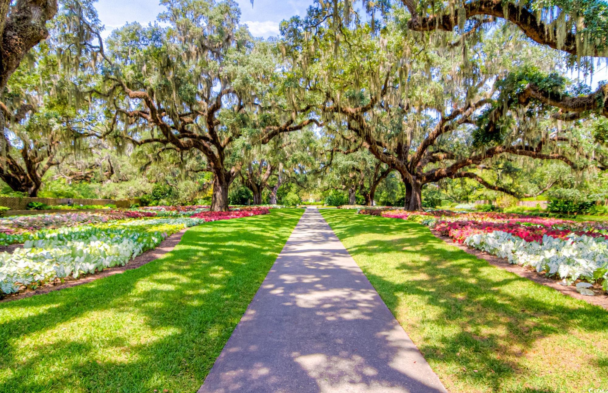 Lot 1-B Brace Dr., Pawleys Island, South Carolina image 26