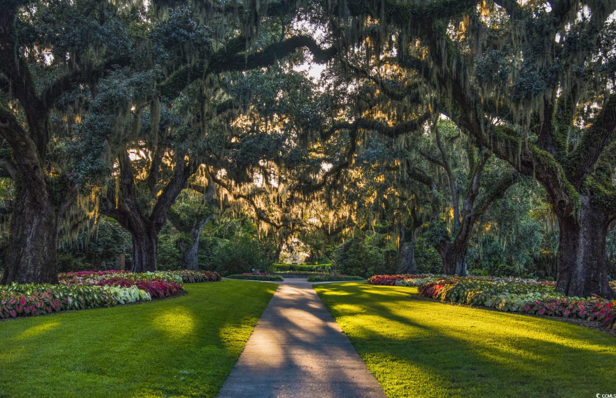 Lot 1-B Brace Dr., Pawleys Island, South Carolina image 27