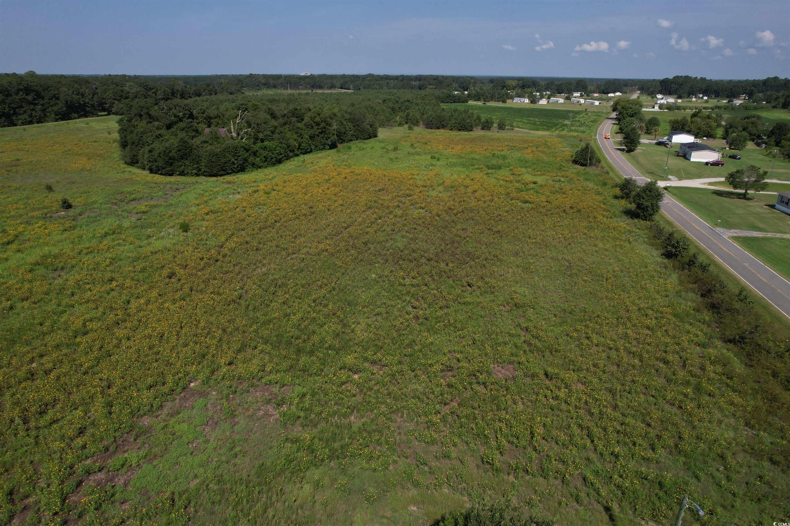 TBD Lot 5 Jeffords Mill Rd., Darlington, South Carolina image 3