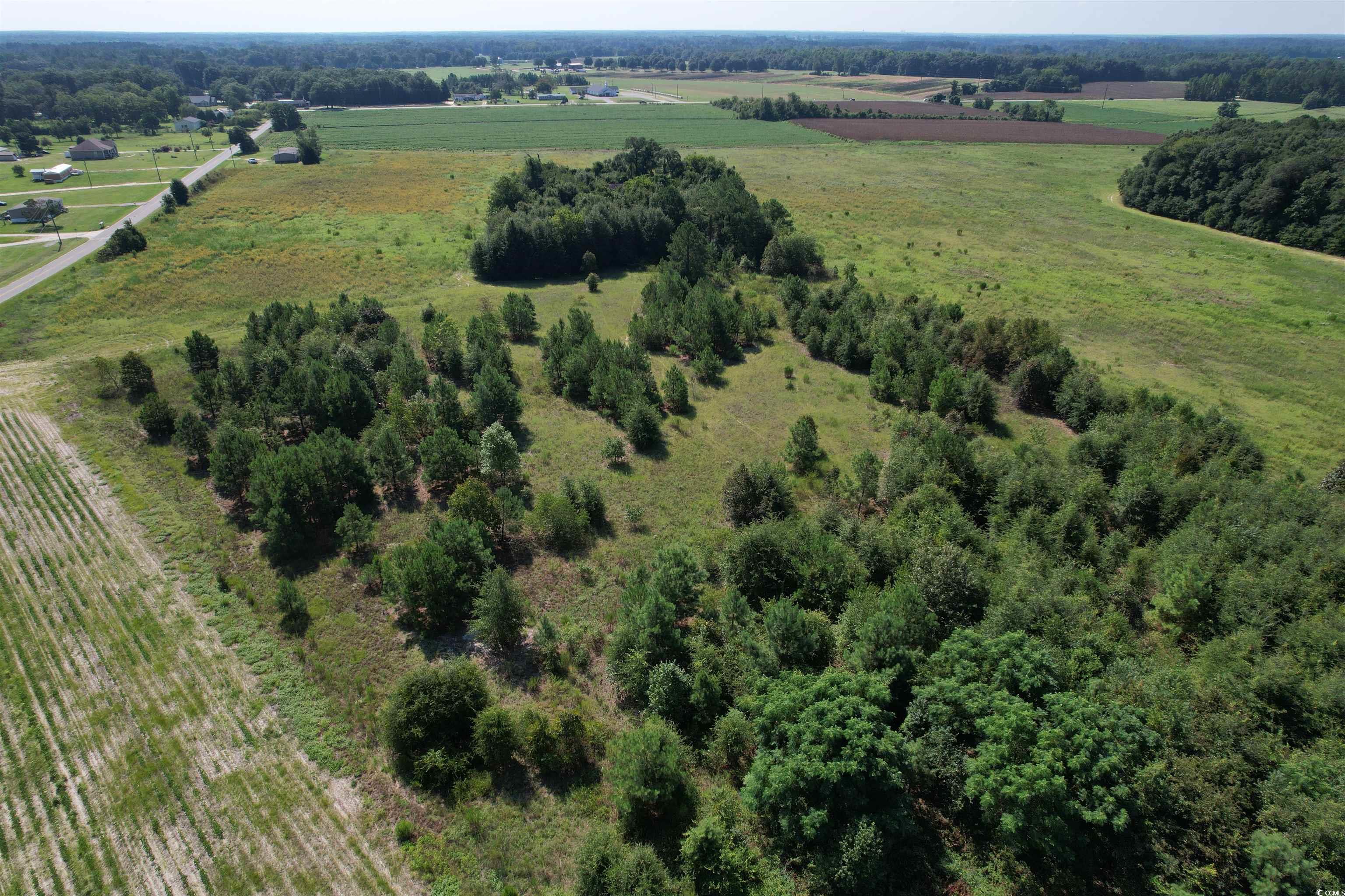 TBD Lot 5 Jeffords Mill Rd., Darlington, South Carolina image 4