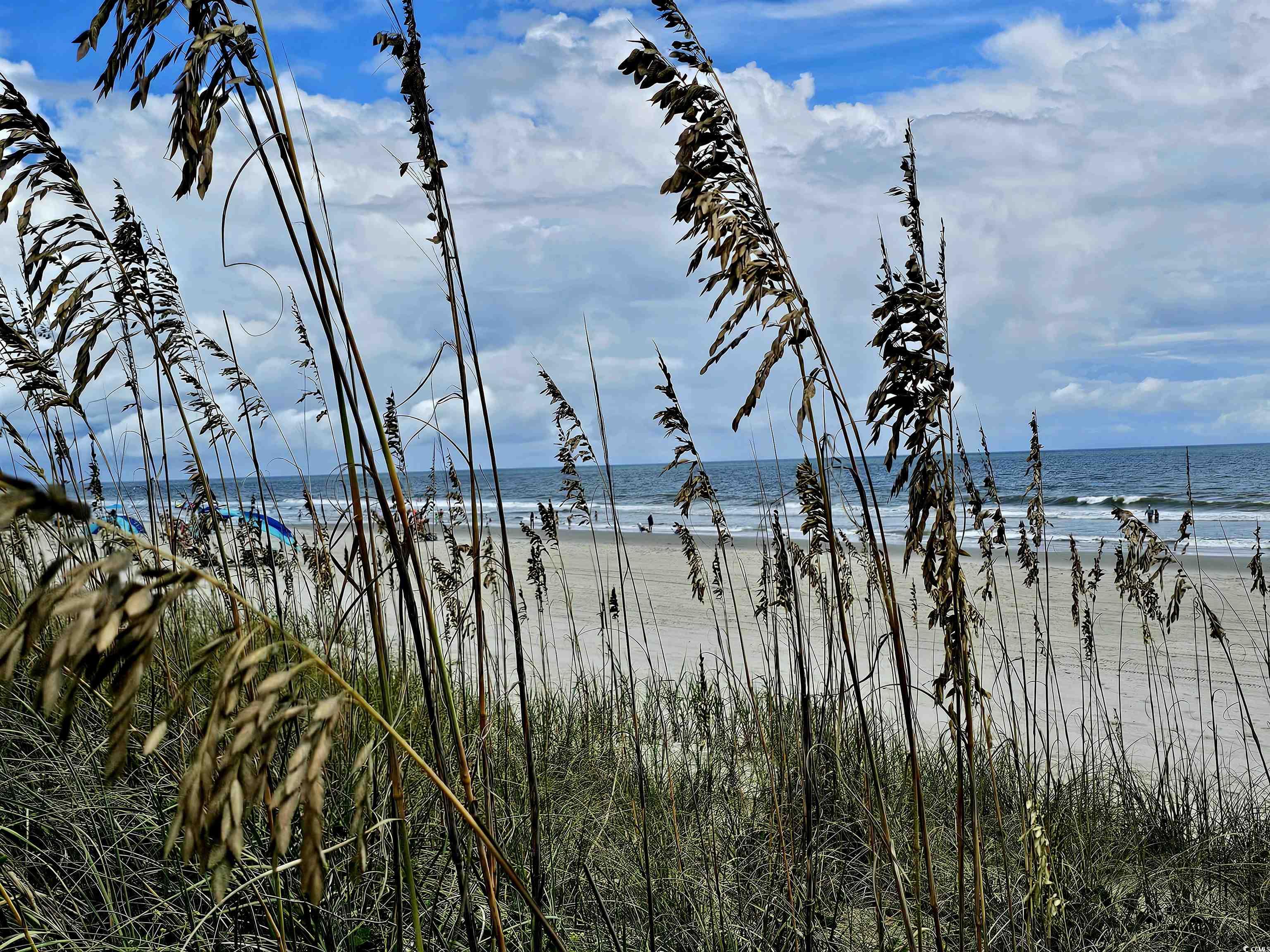 221 15th Ave. S, Surfside Beach, South Carolina image 32