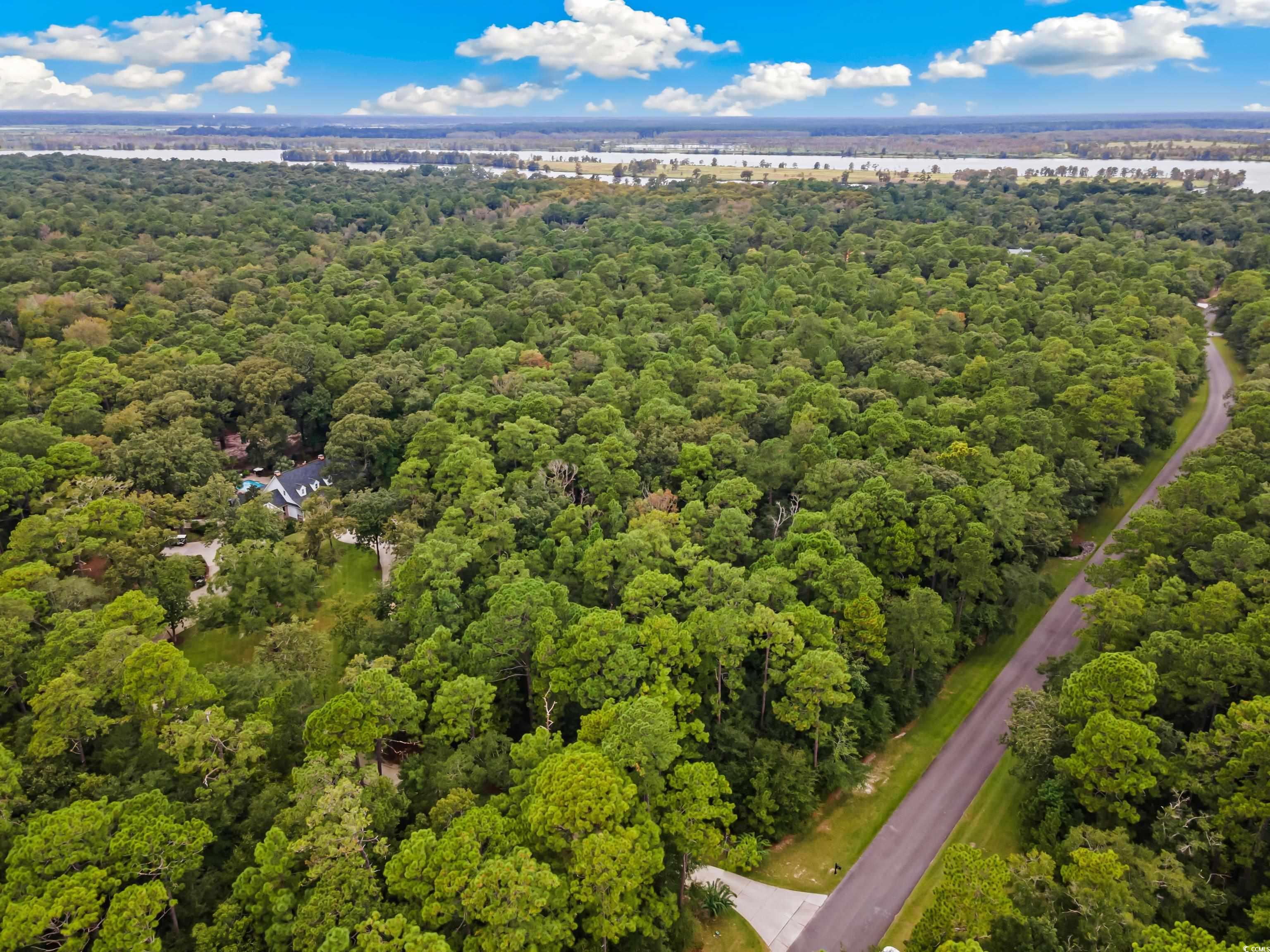 217 Farthing Rd., Pawleys Island, South Carolina image 32