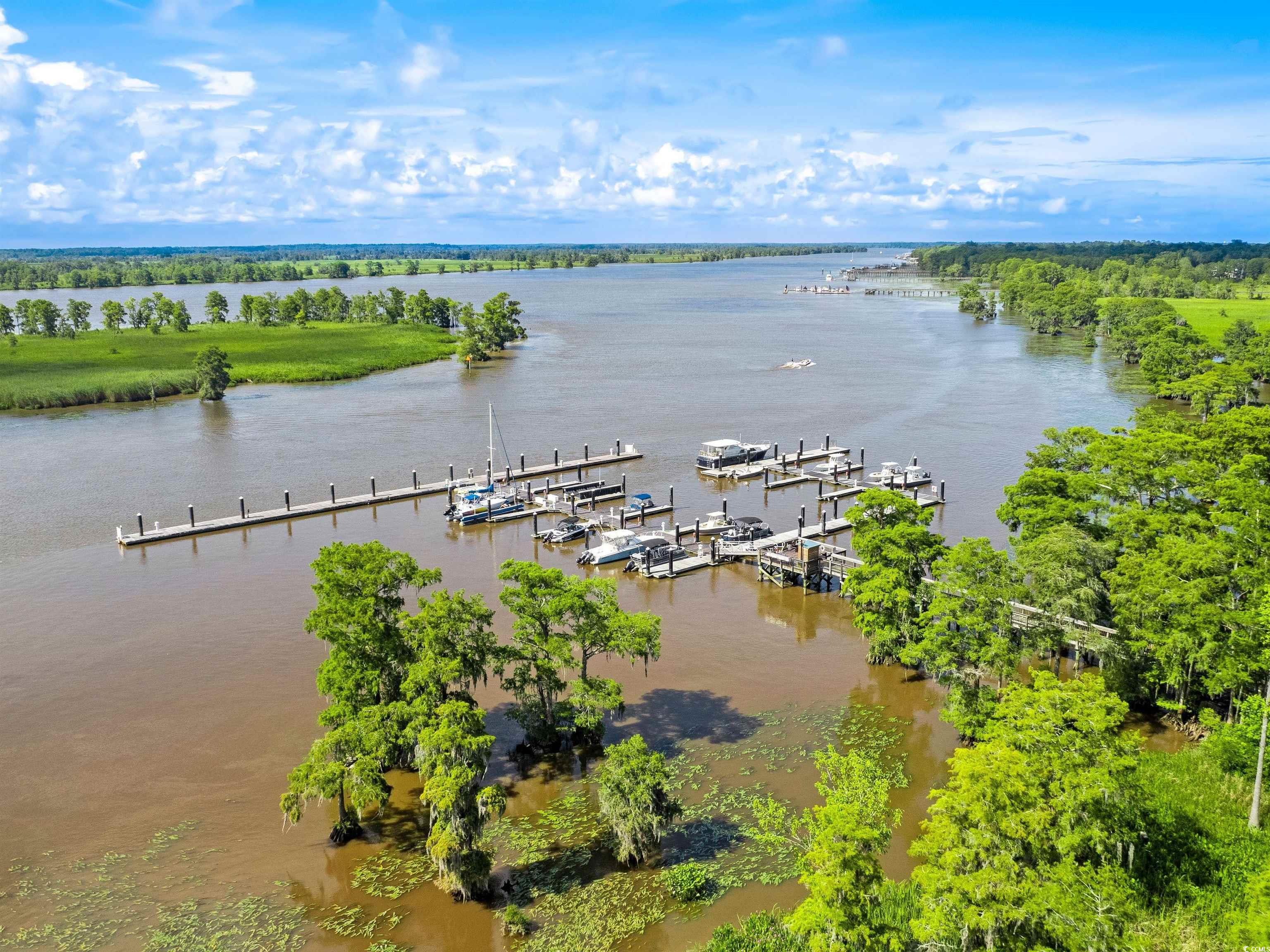 217 Farthing Rd., Pawleys Island, South Carolina image 39