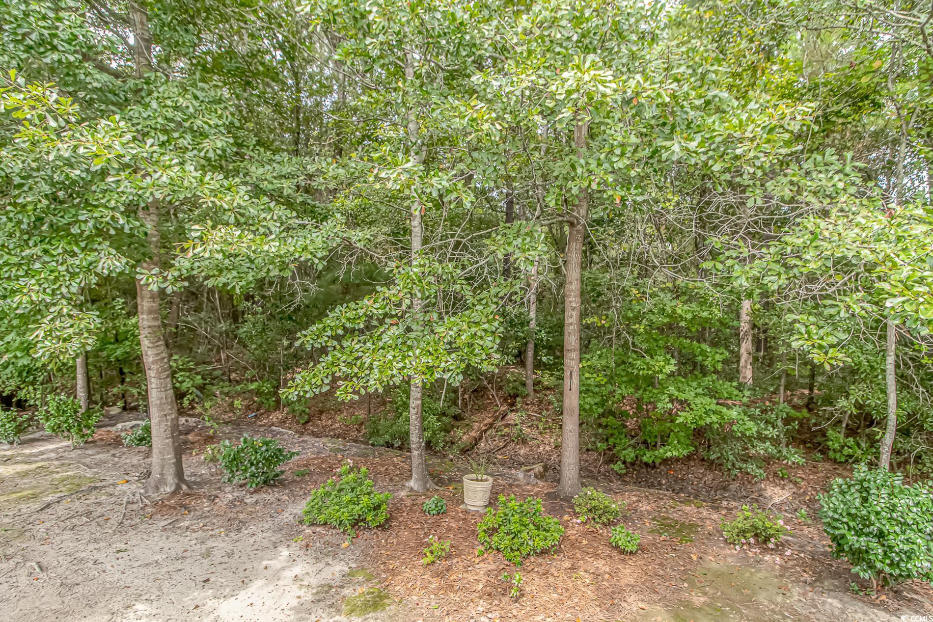 300 Saint Christopher Circle, Pawleys Island, South Carolina image 30