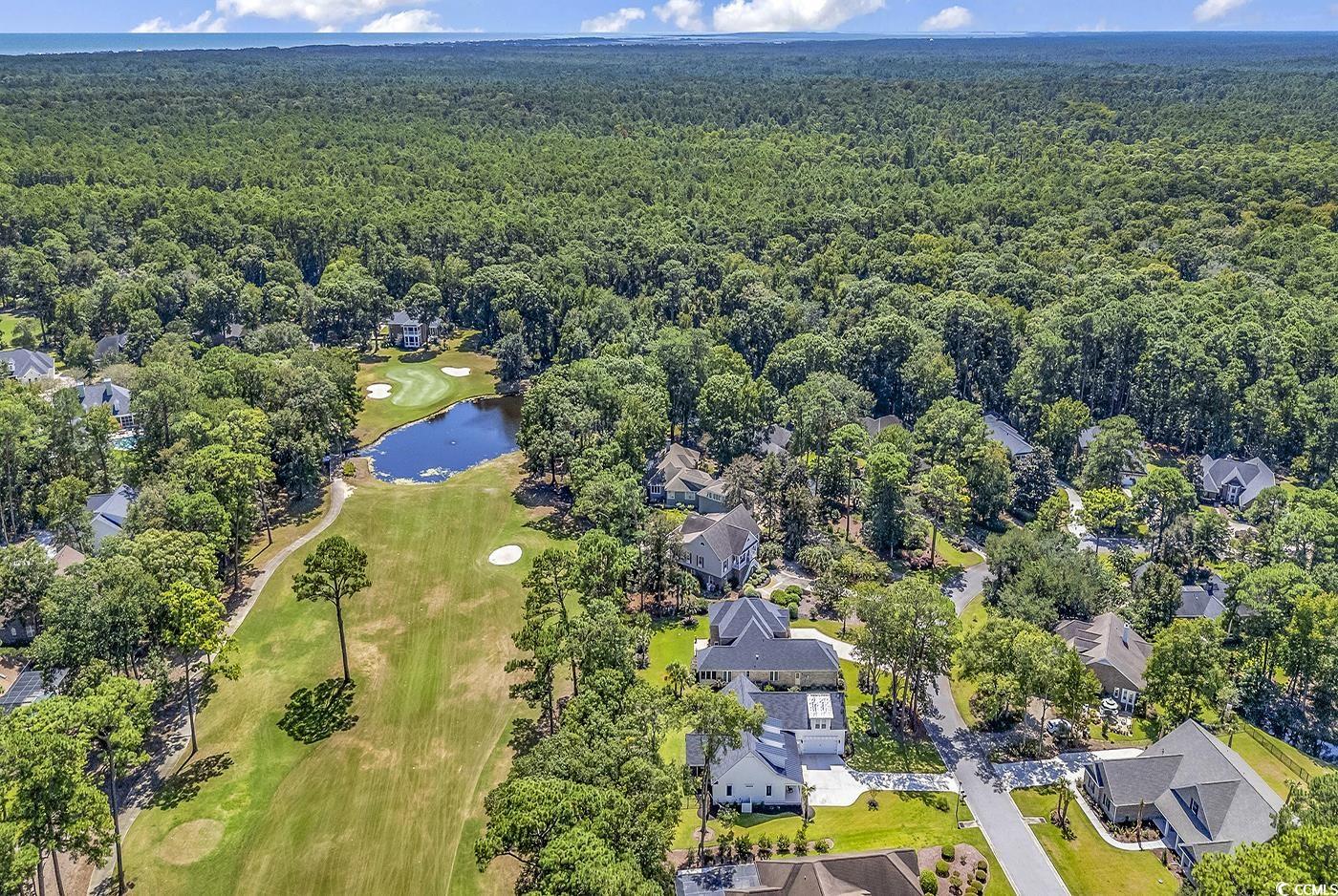 95 Red Tail Hawk Loop, Pawleys Island, South Carolina image 31