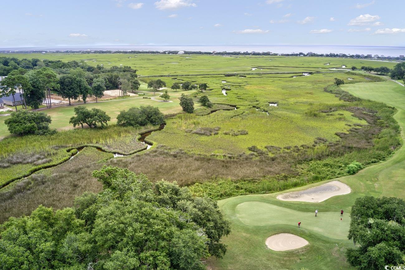 95 Red Tail Hawk Loop, Pawleys Island, South Carolina image 37