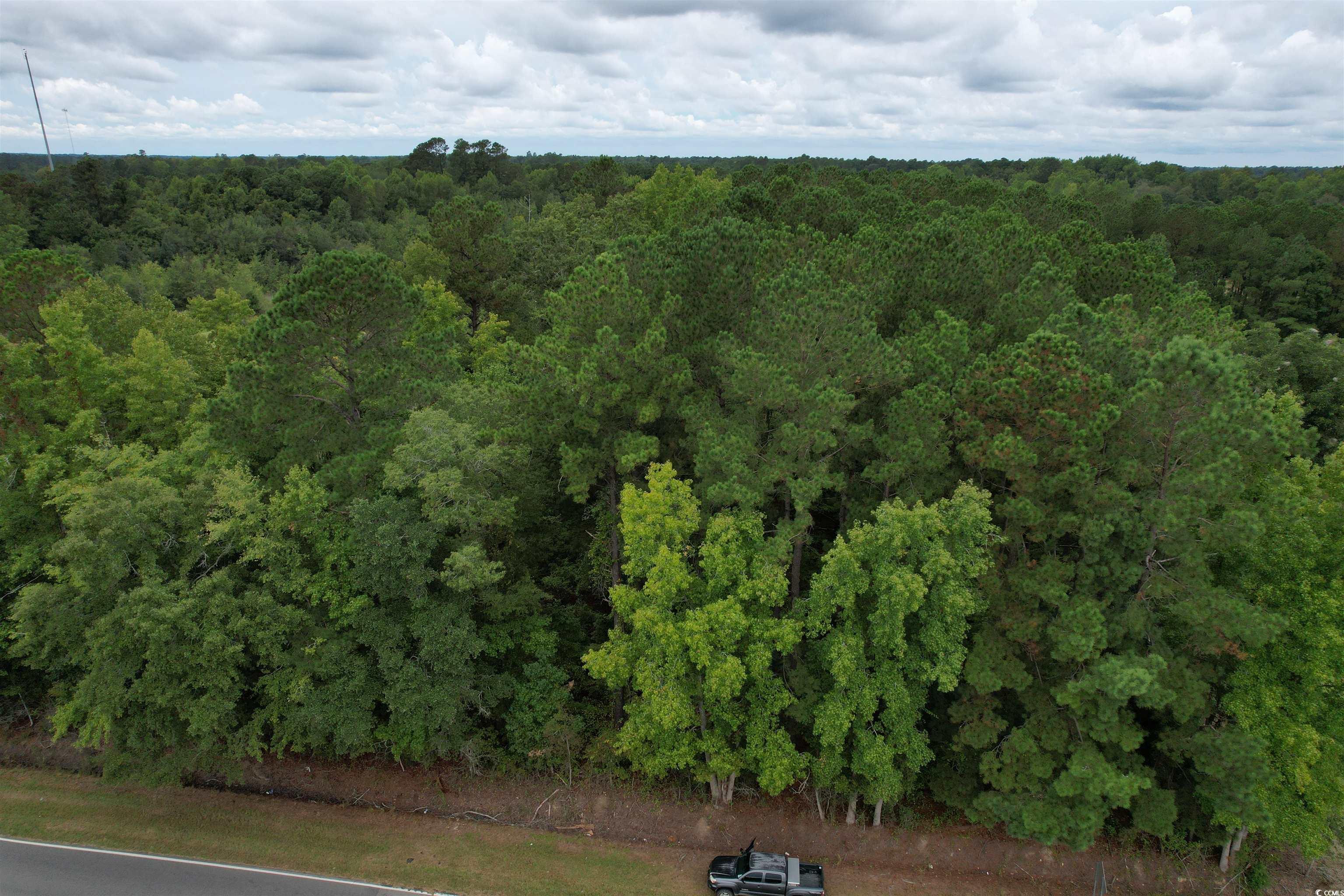 2 Acres-TBD Highway 41, Centenary, South Carolina image 4