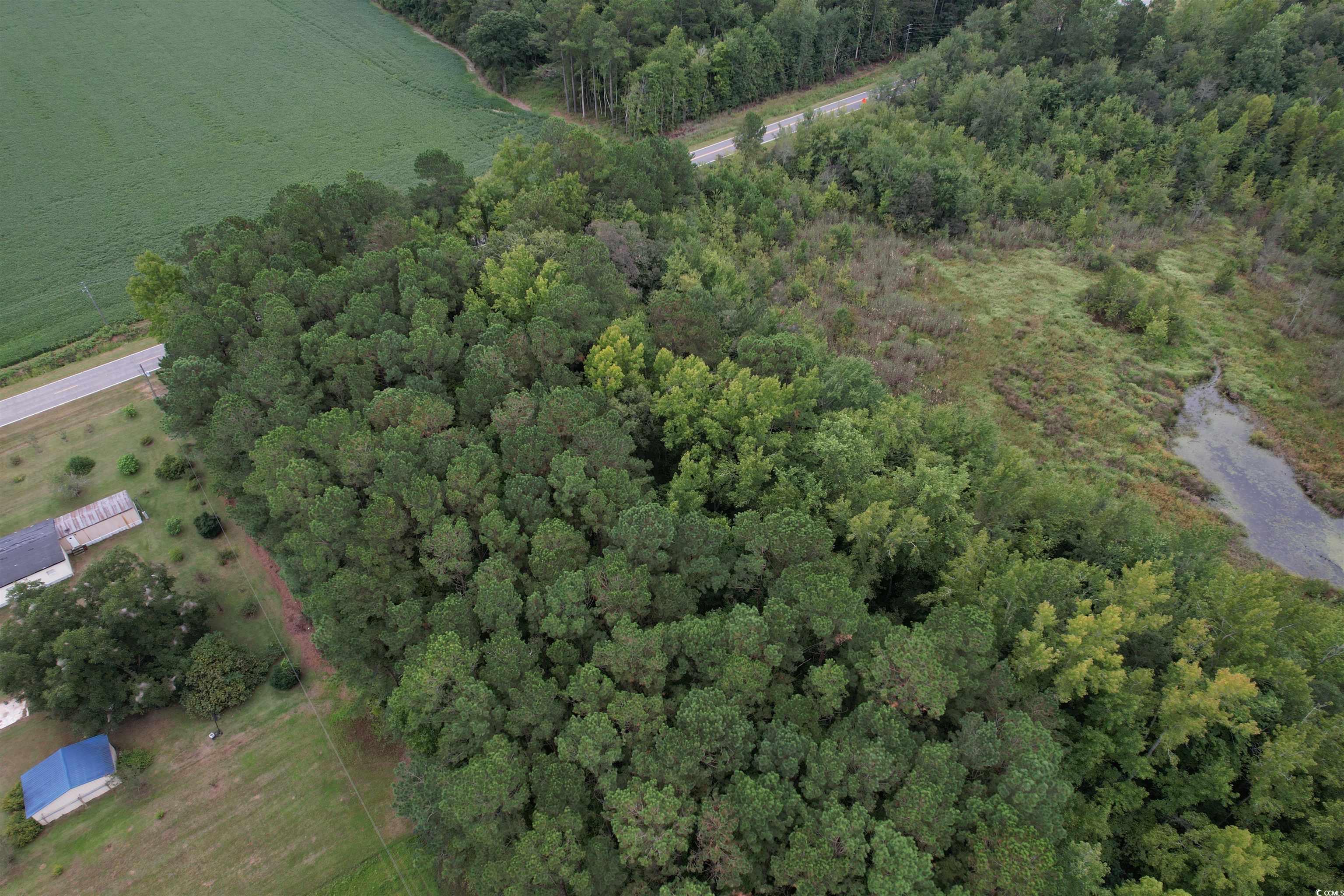 2 Acres-TBD Highway 41, Centenary, South Carolina image 6