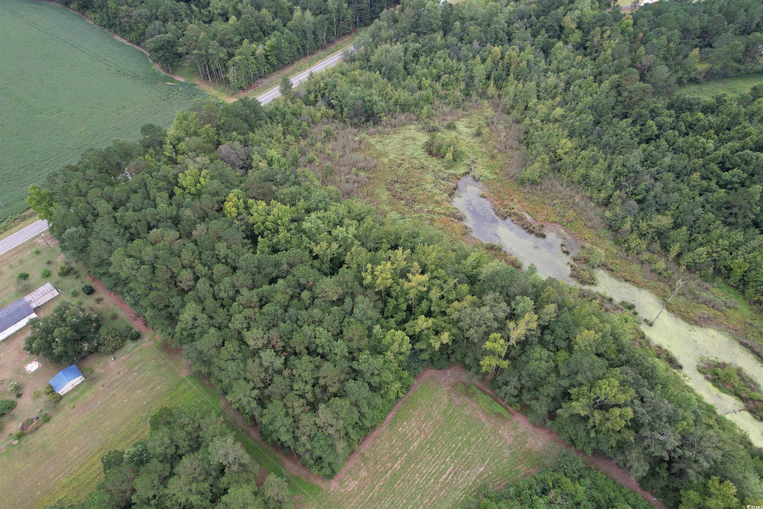 2 Acres-TBD Highway 41, Centenary, South Carolina image 7