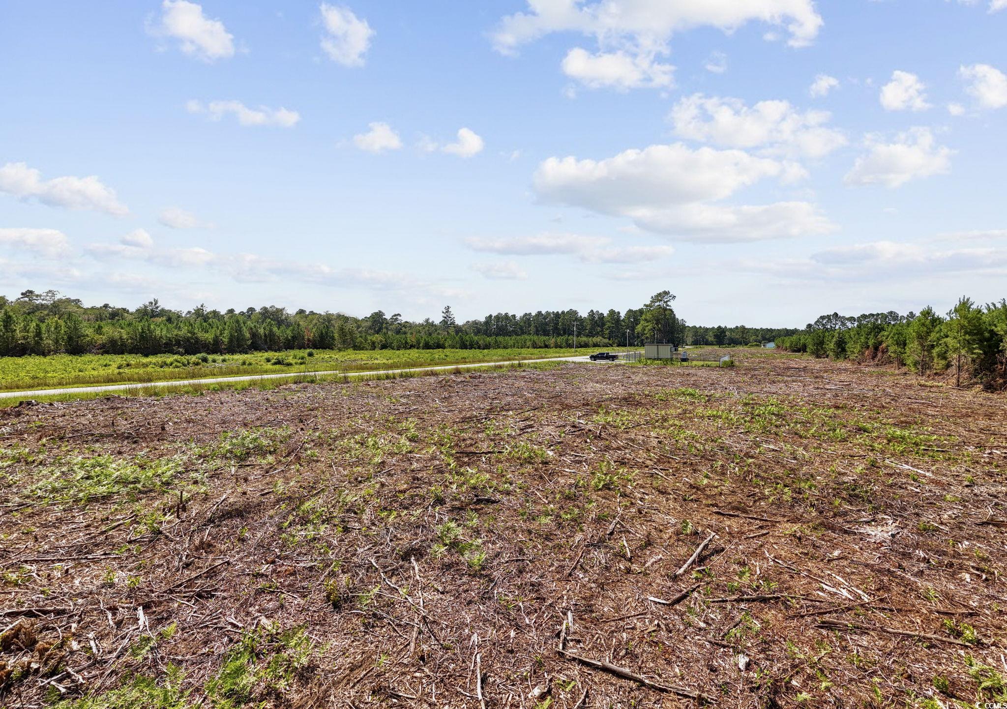 TBD Black Creek Rd., Nichols, South Carolina image 18