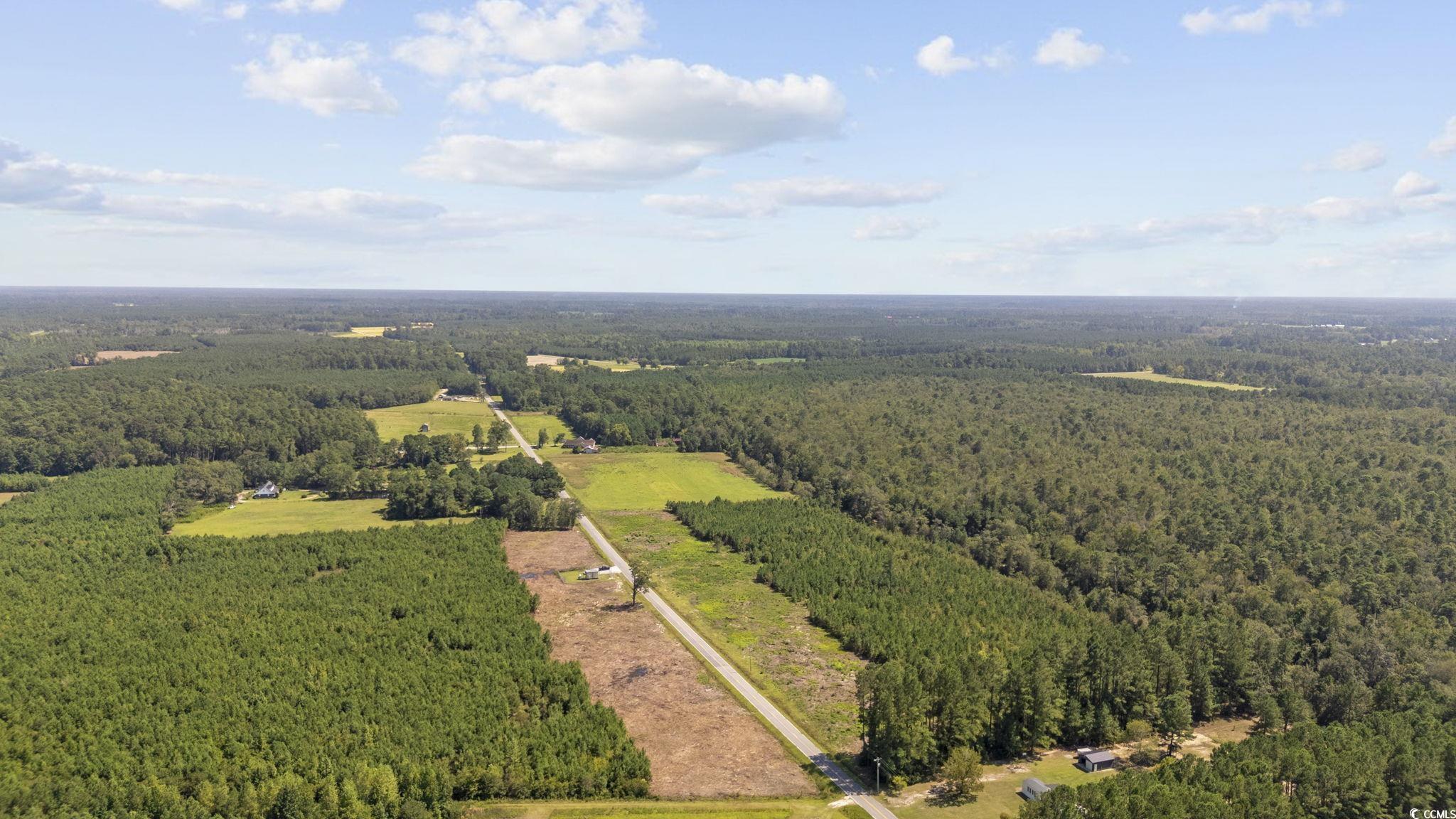 TBD Black Creek Rd., Nichols, South Carolina image 8