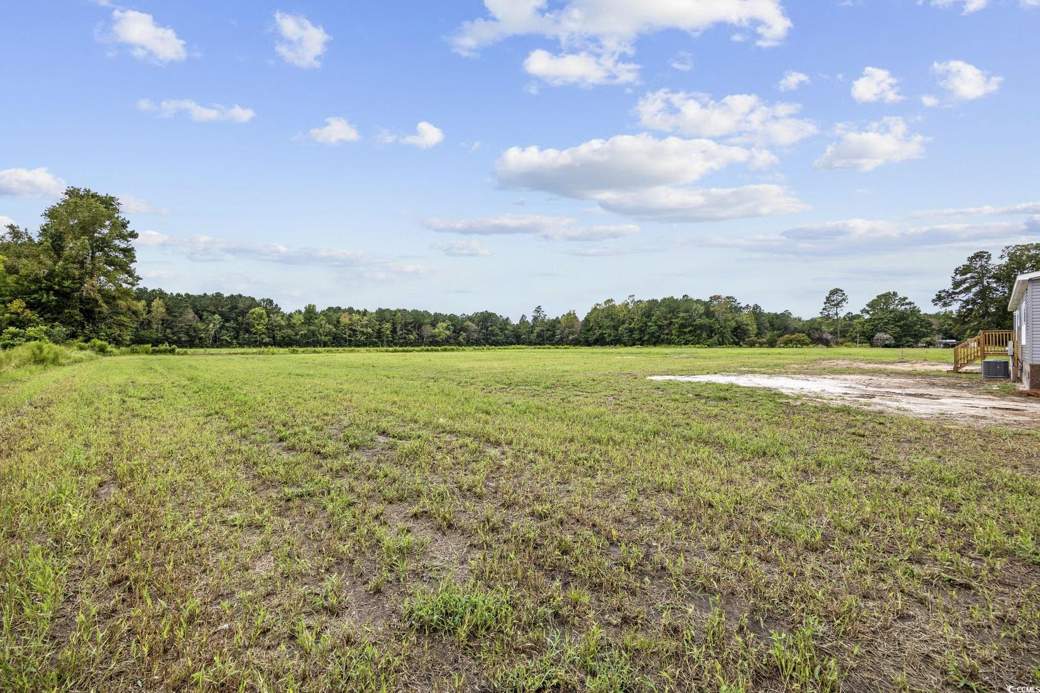 7001 Norton Rd., Green Sea, South Carolina image 5