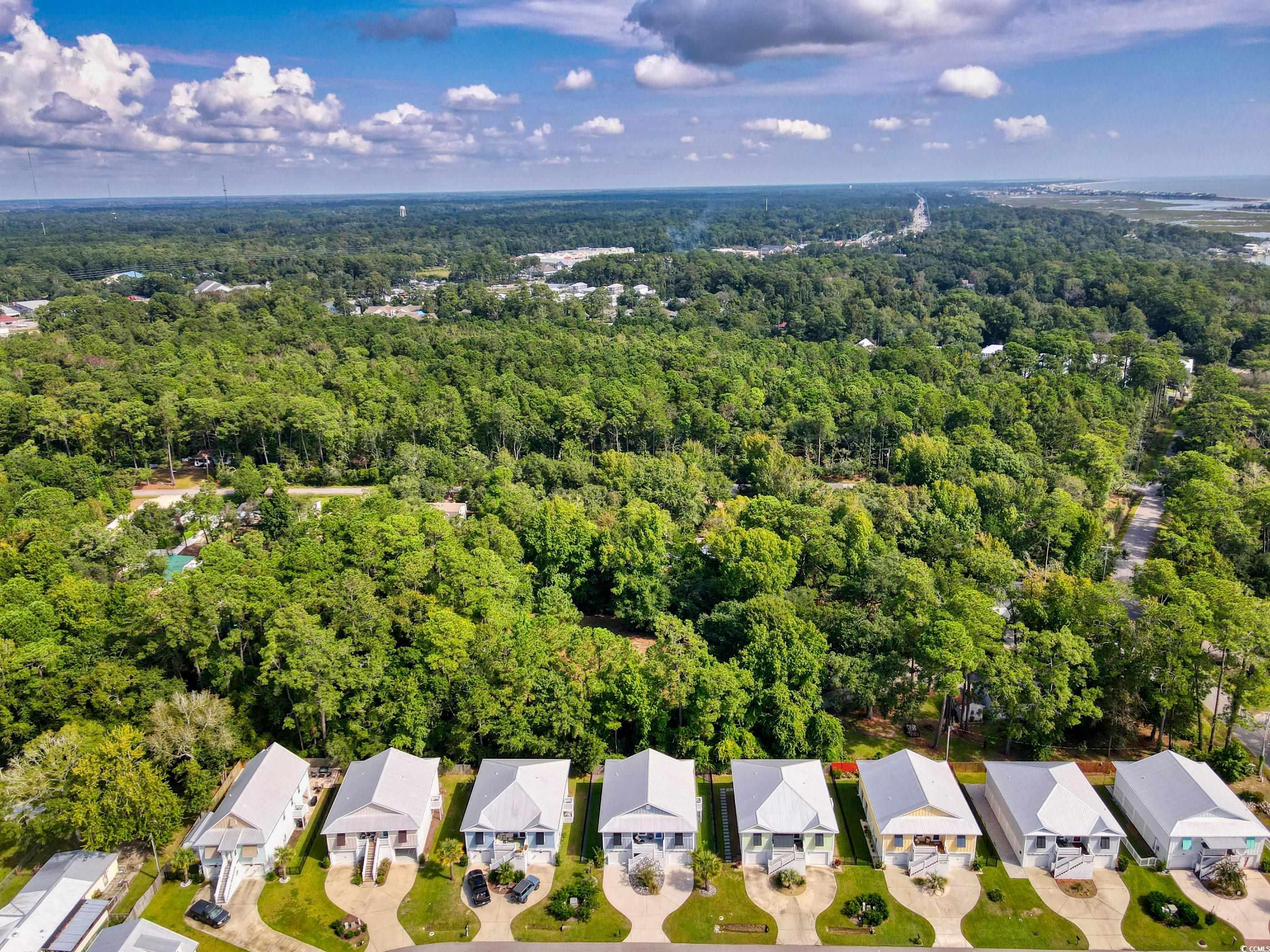 47 Tidelands Trail, Pawleys Island, South Carolina image 2