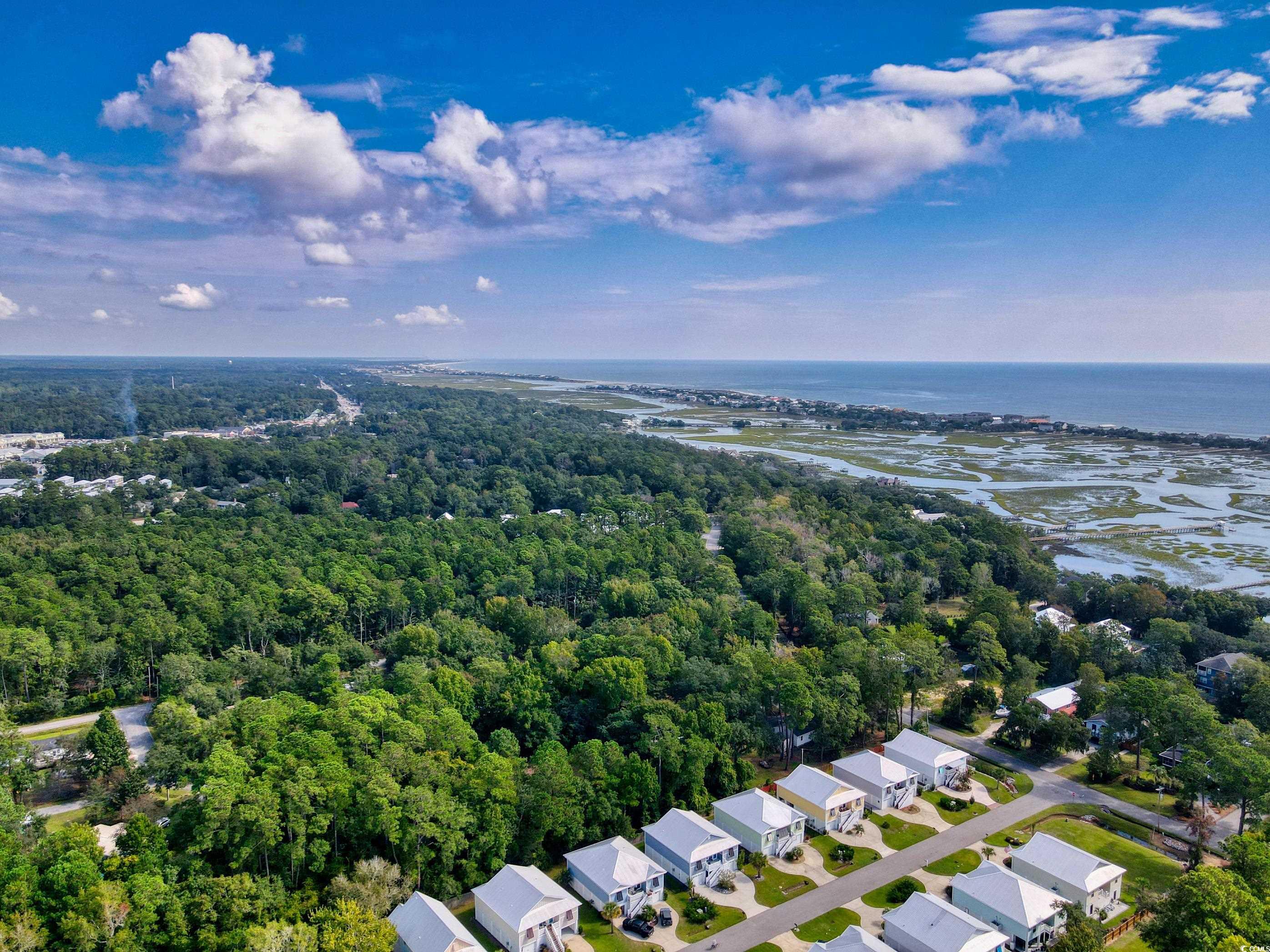 47 Tidelands Trail, Pawleys Island, South Carolina image 39