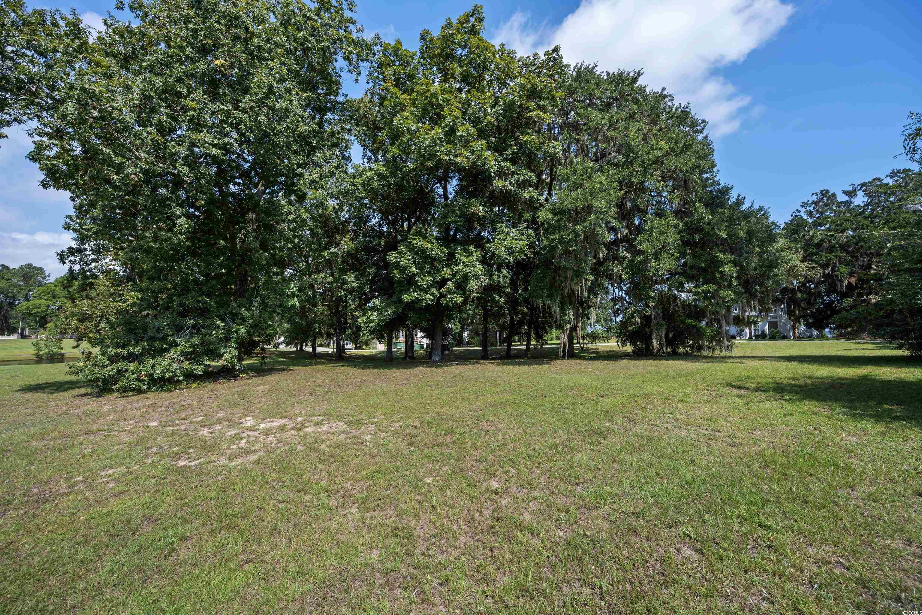 Lot 56 Lagrange Rd., Georgetown, South Carolina image 1