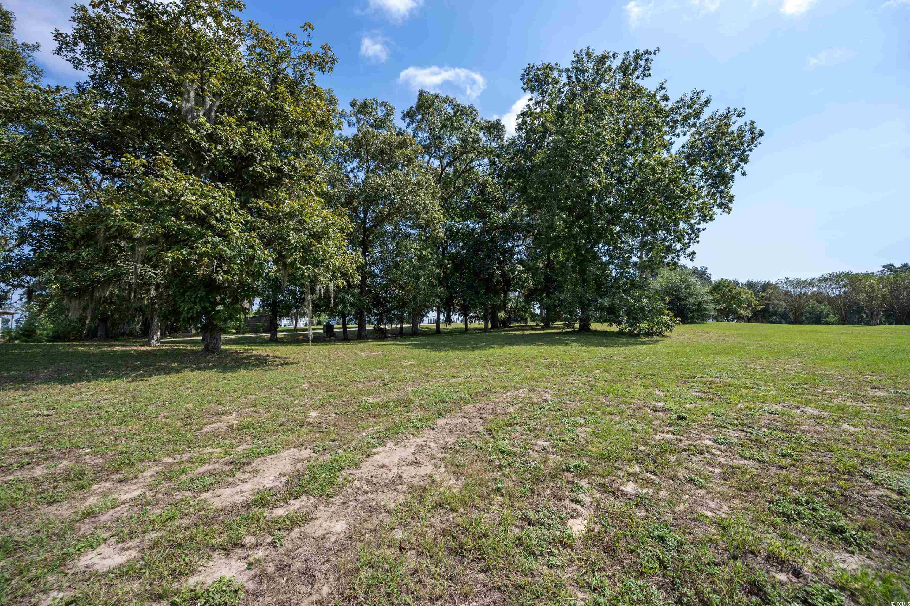 Lot 56 Lagrange Rd., Georgetown, South Carolina image 3