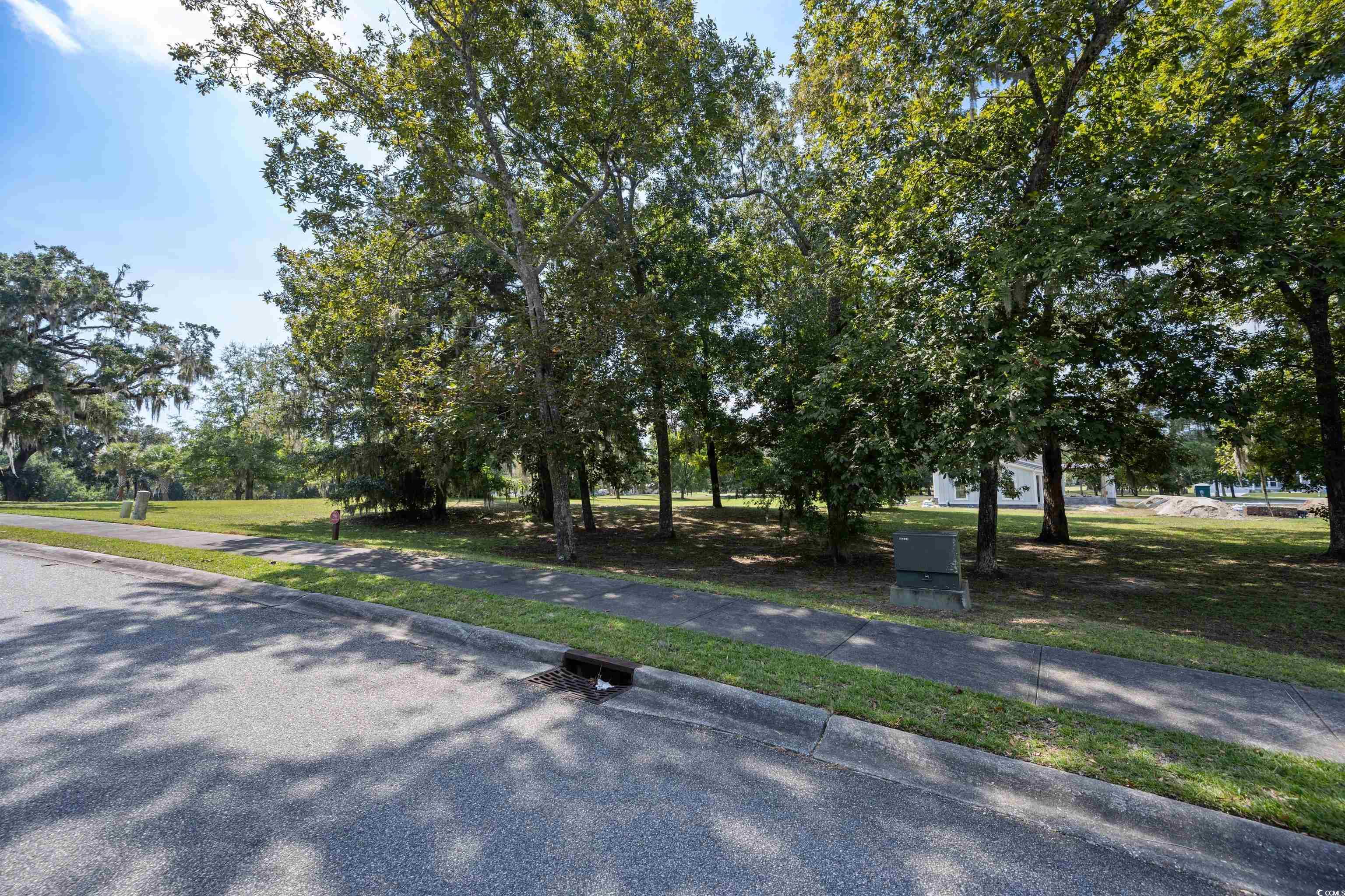 Lot 56 Lagrange Rd., Georgetown, South Carolina image 4