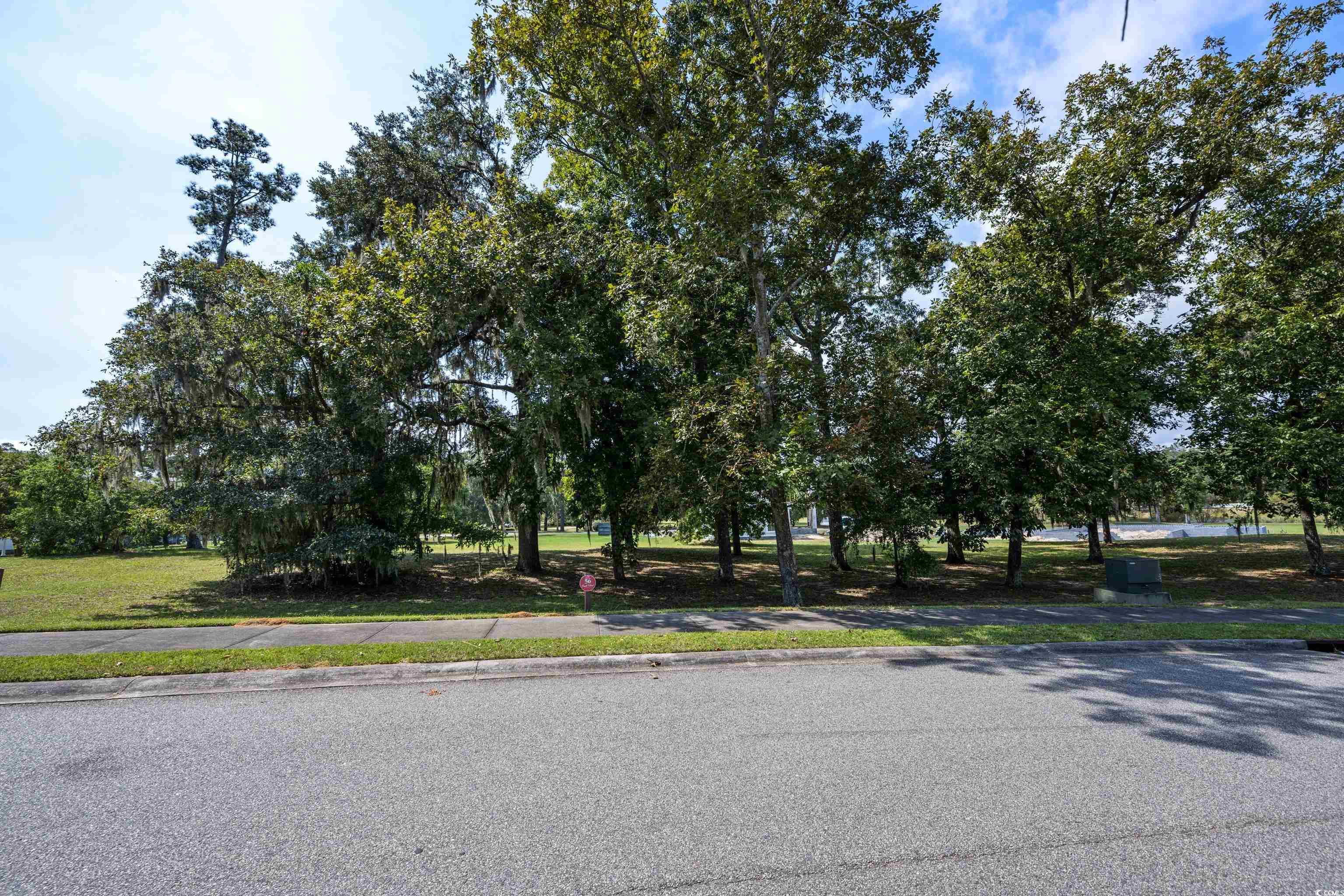 Lot 56 Lagrange Rd., Georgetown, South Carolina image 5