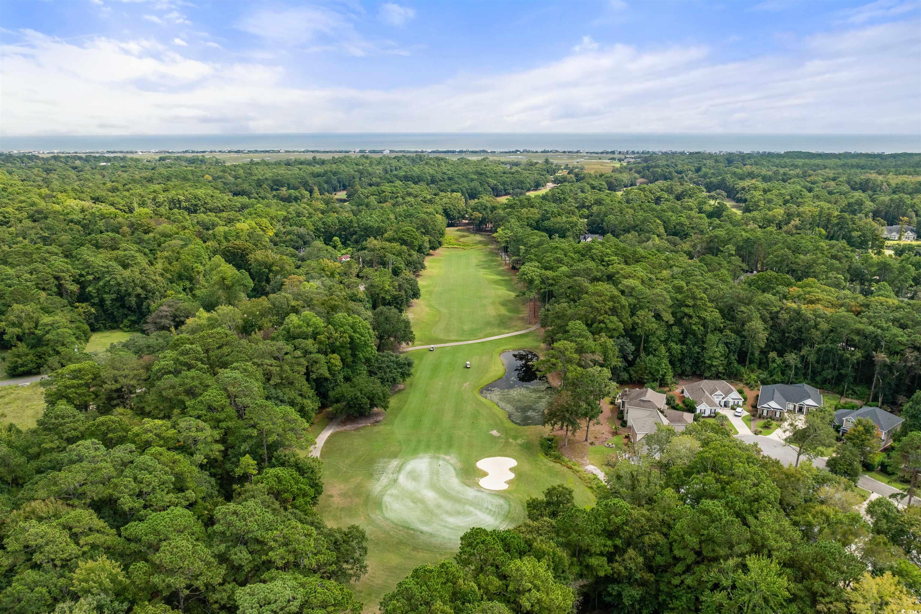 260 Turtle Creek Dr., Pawleys Island, South Carolina image 39