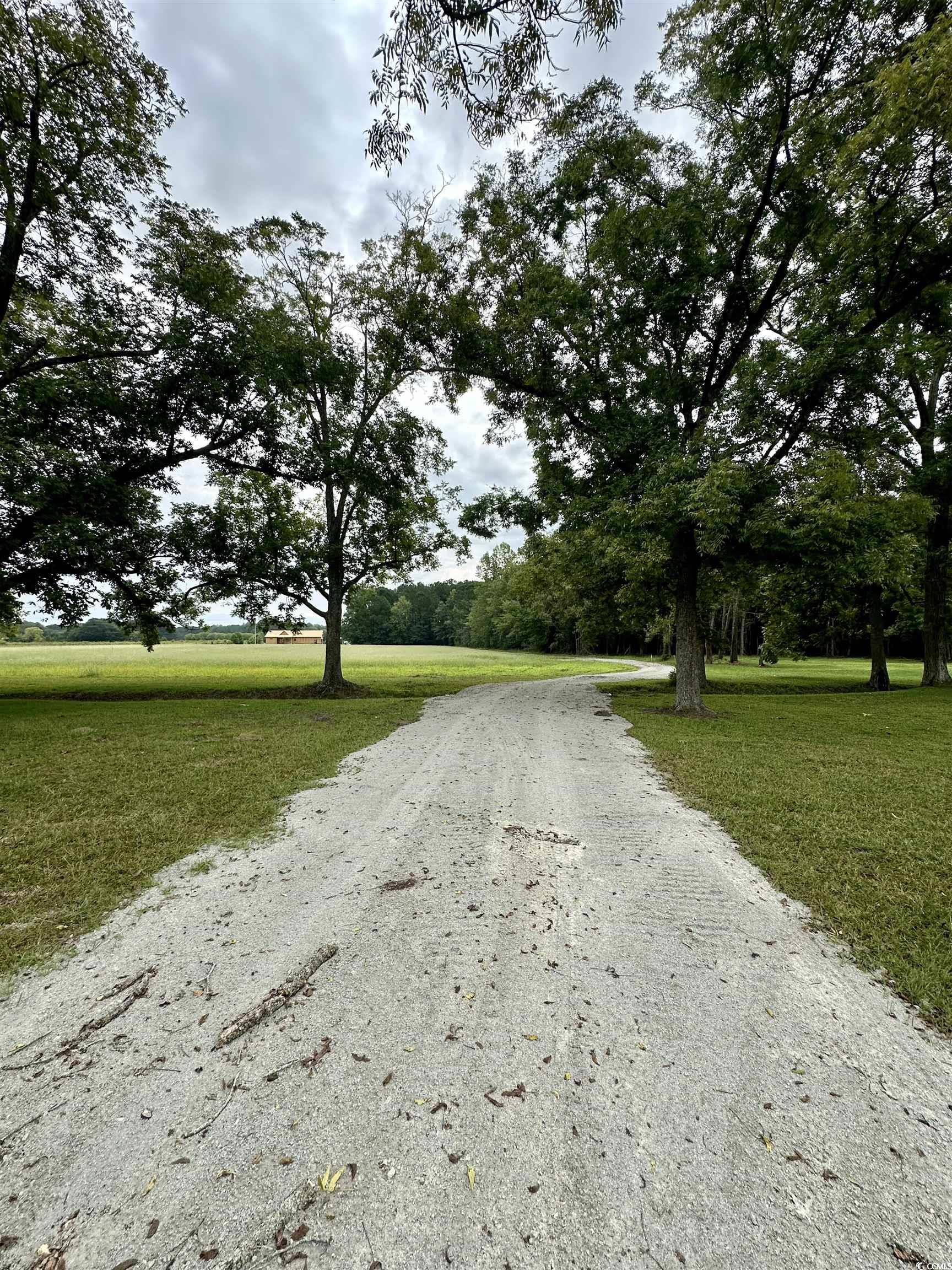 TBD Highway 66, Loris, South Carolina image 11