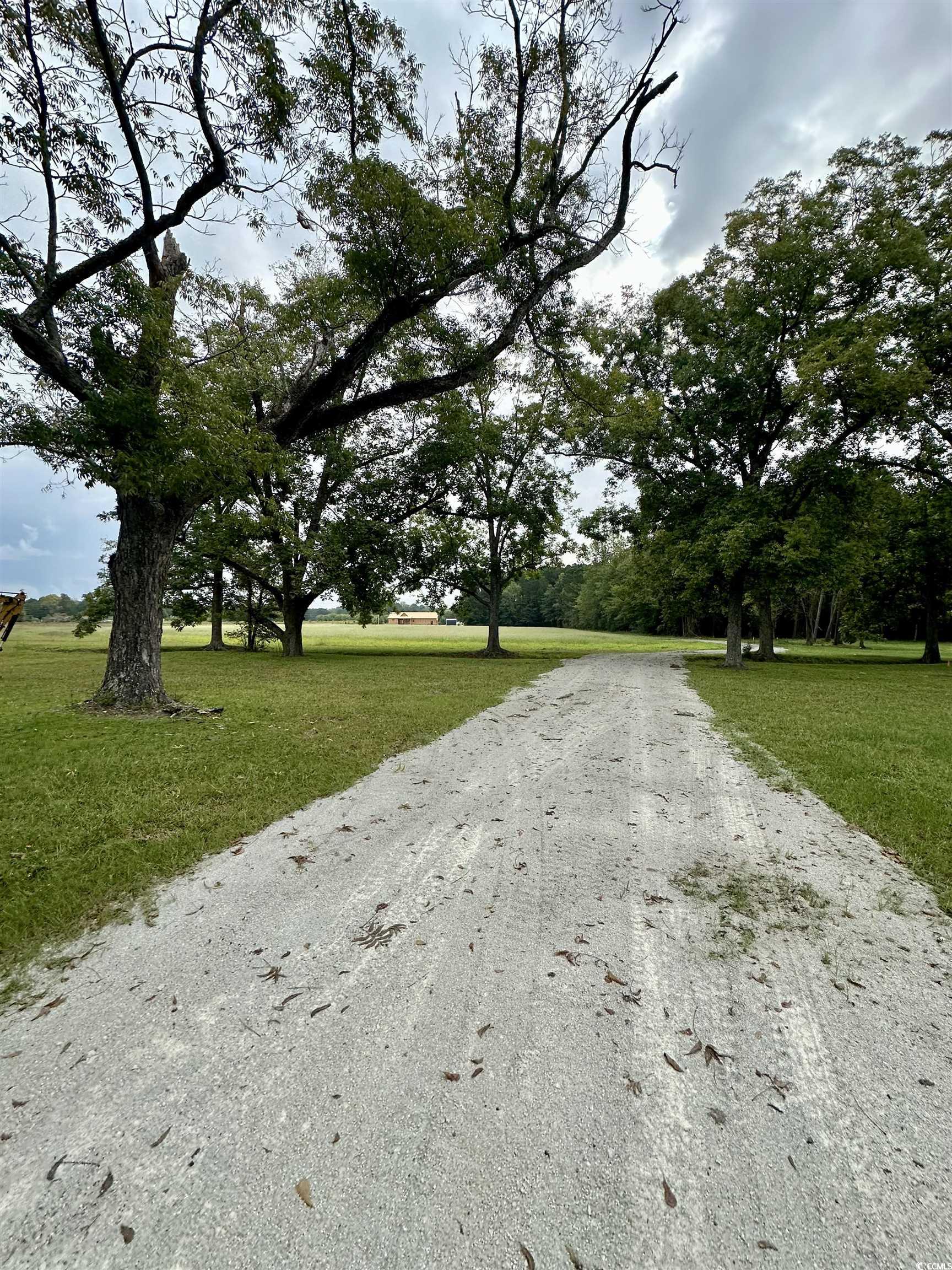 TBD Highway 66, Loris, South Carolina image 13