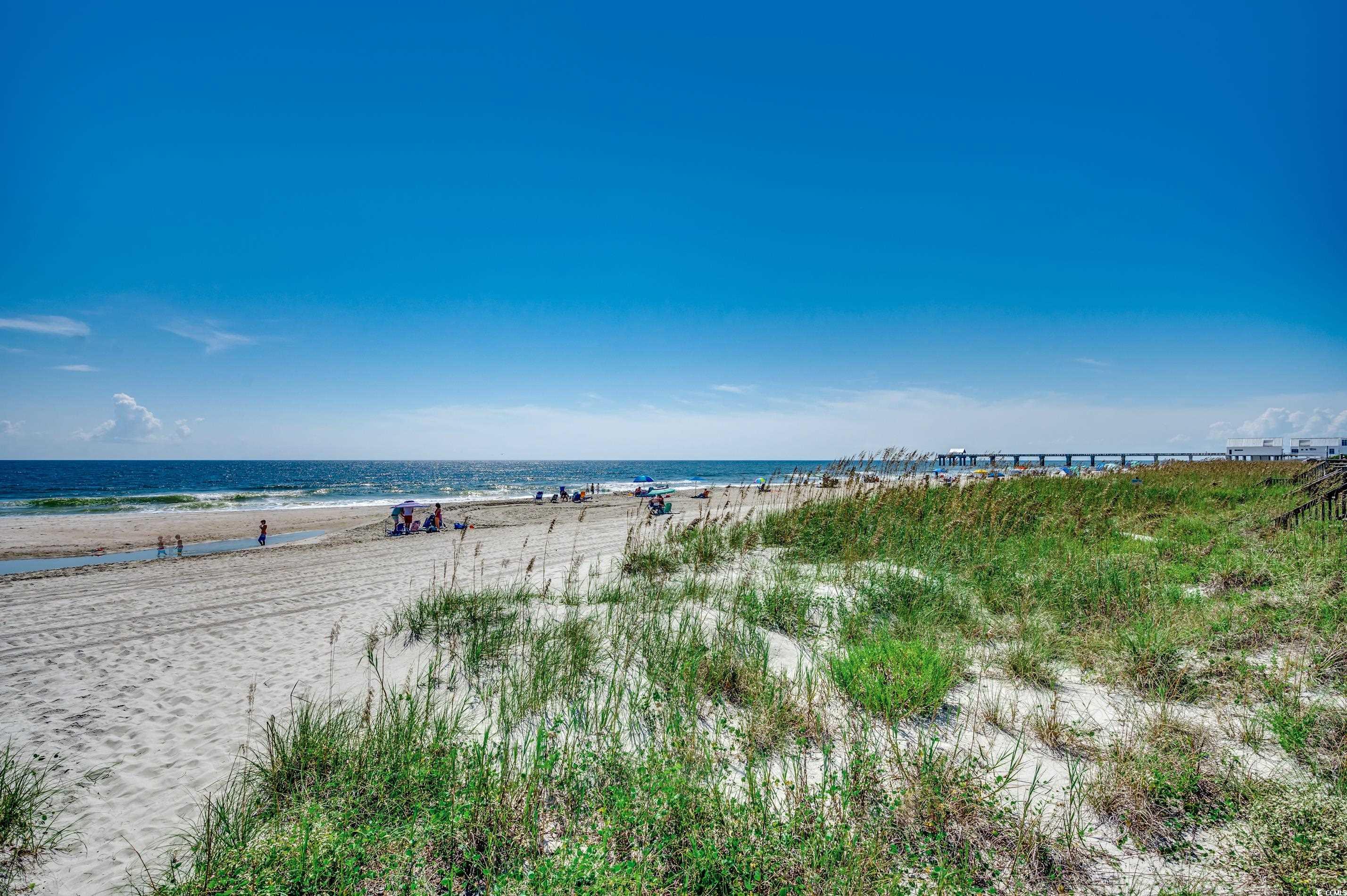 415 N Ocean Blvd. #302, Surfside Beach, South Carolina image 40