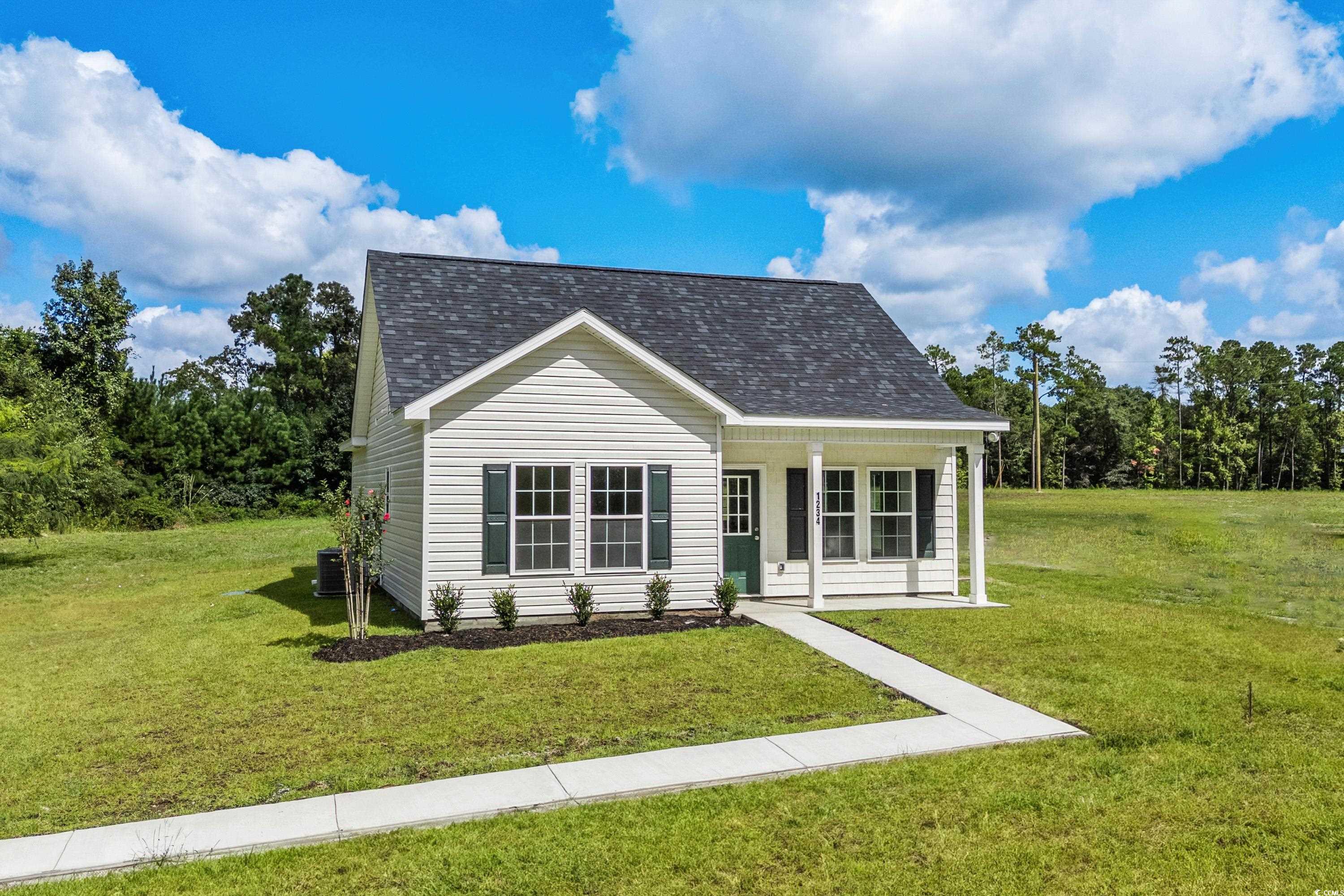 1234 St. John Rd., Galivants Ferry, South Carolina image 6