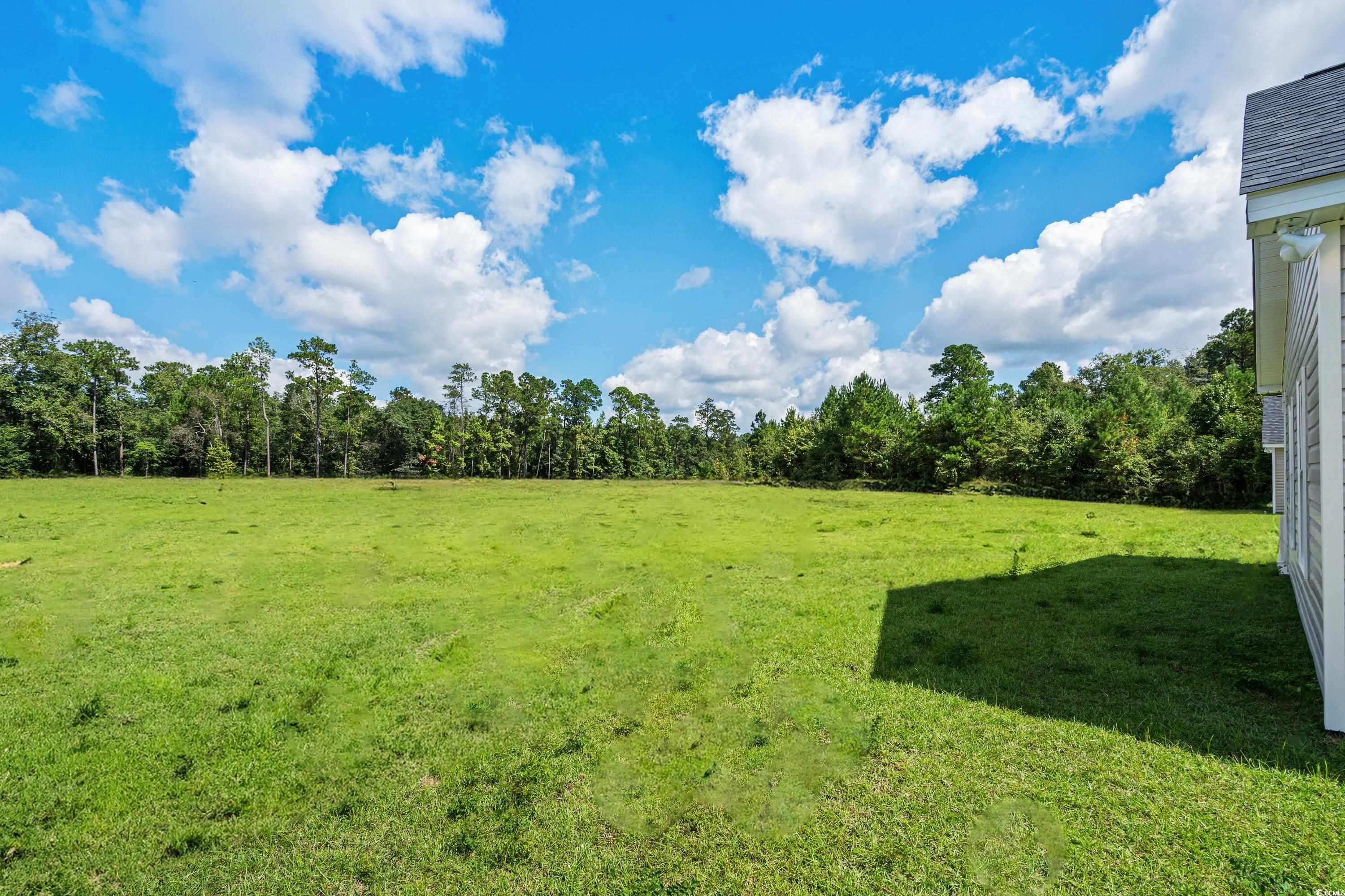 1174 St. John Rd., Galivants Ferry, South Carolina image 10