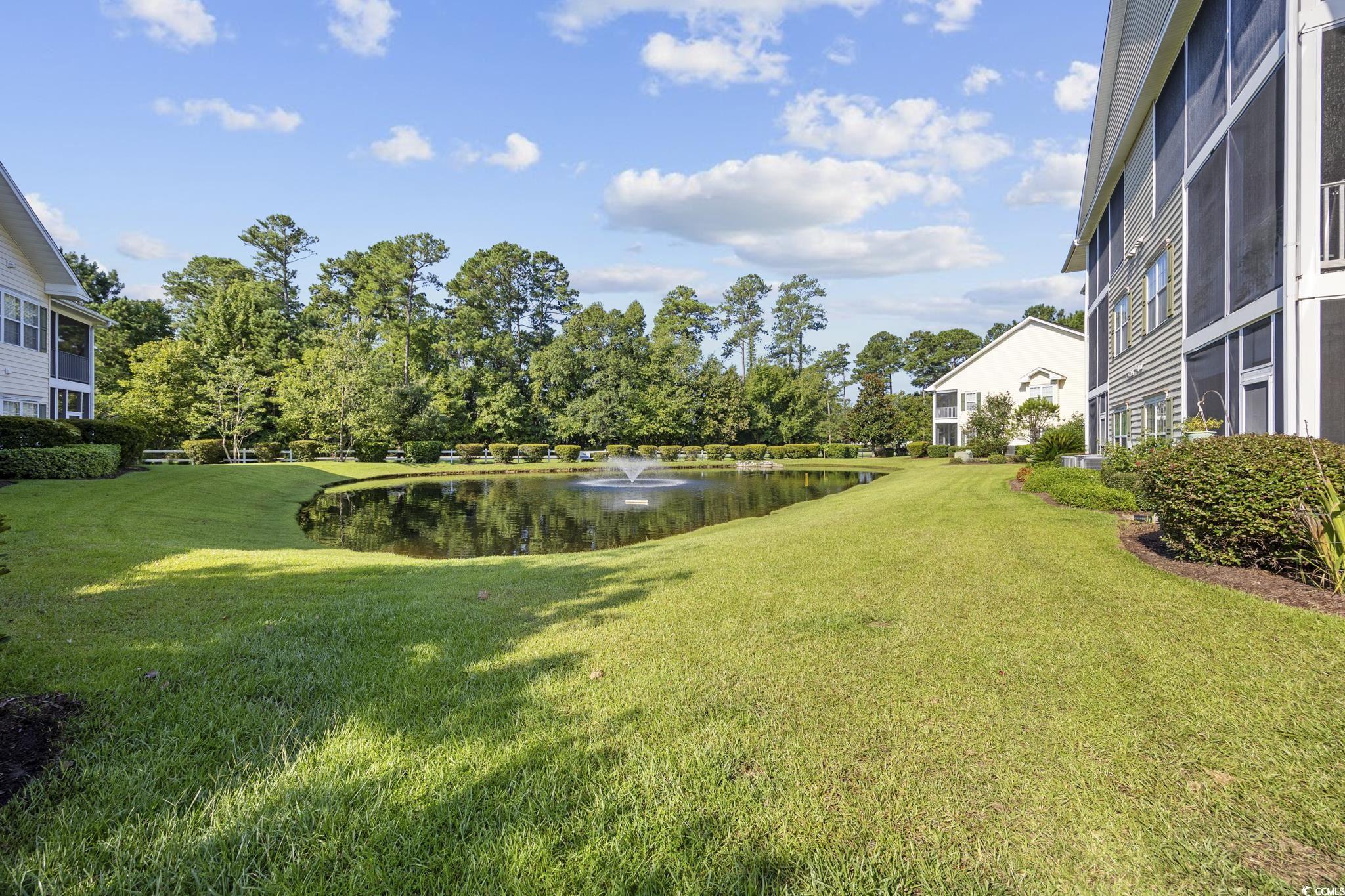 5882 Longwood Dr. #201, Murrells Inlet, South Carolina image 29